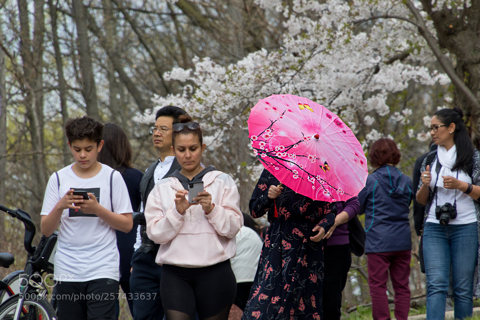 Canon EOS 7D Mark II sample photo. Parasol photography