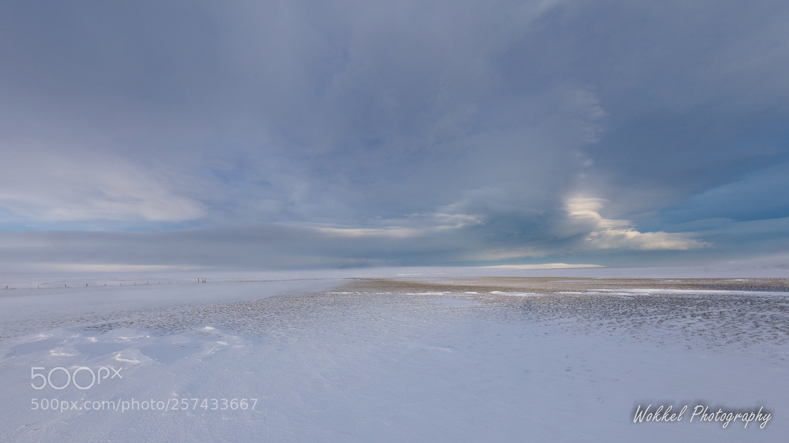 Canon EOS 5DS R sample photo. Stormy white photography