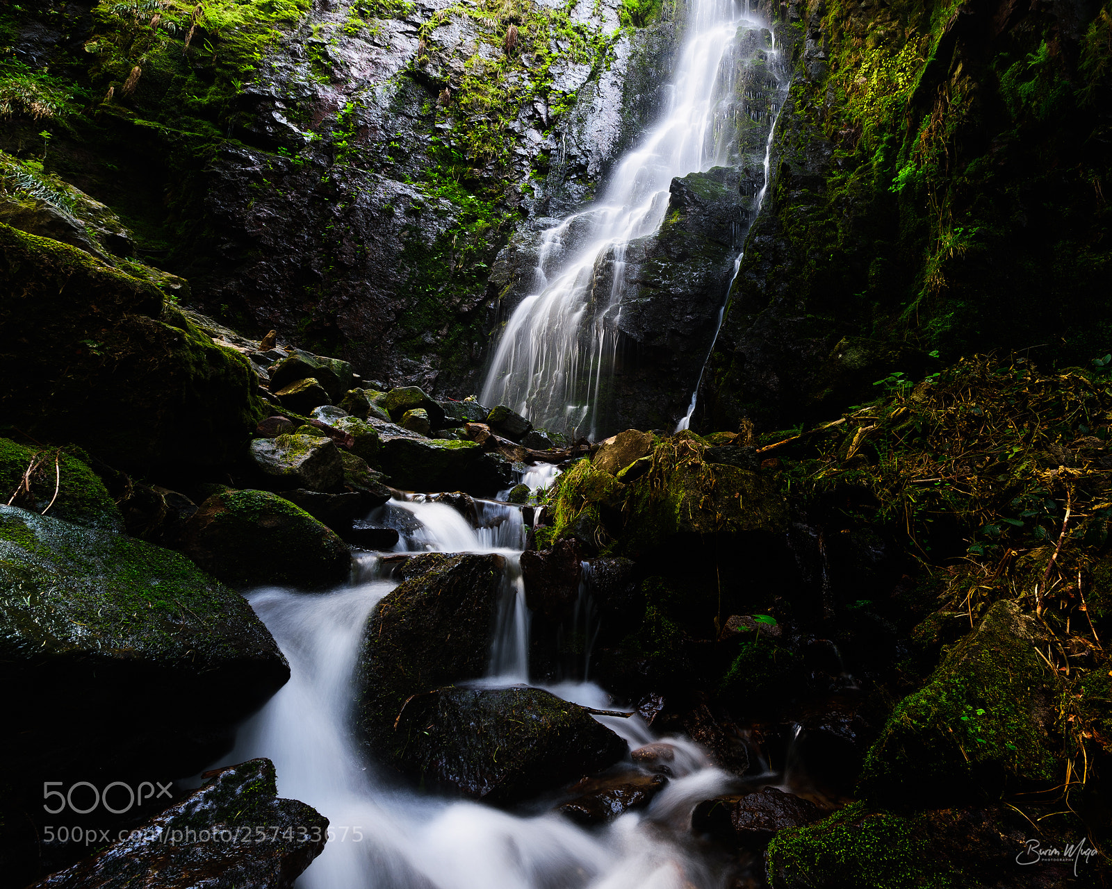 Nikon Df sample photo. Burgbach waterfall ii photography