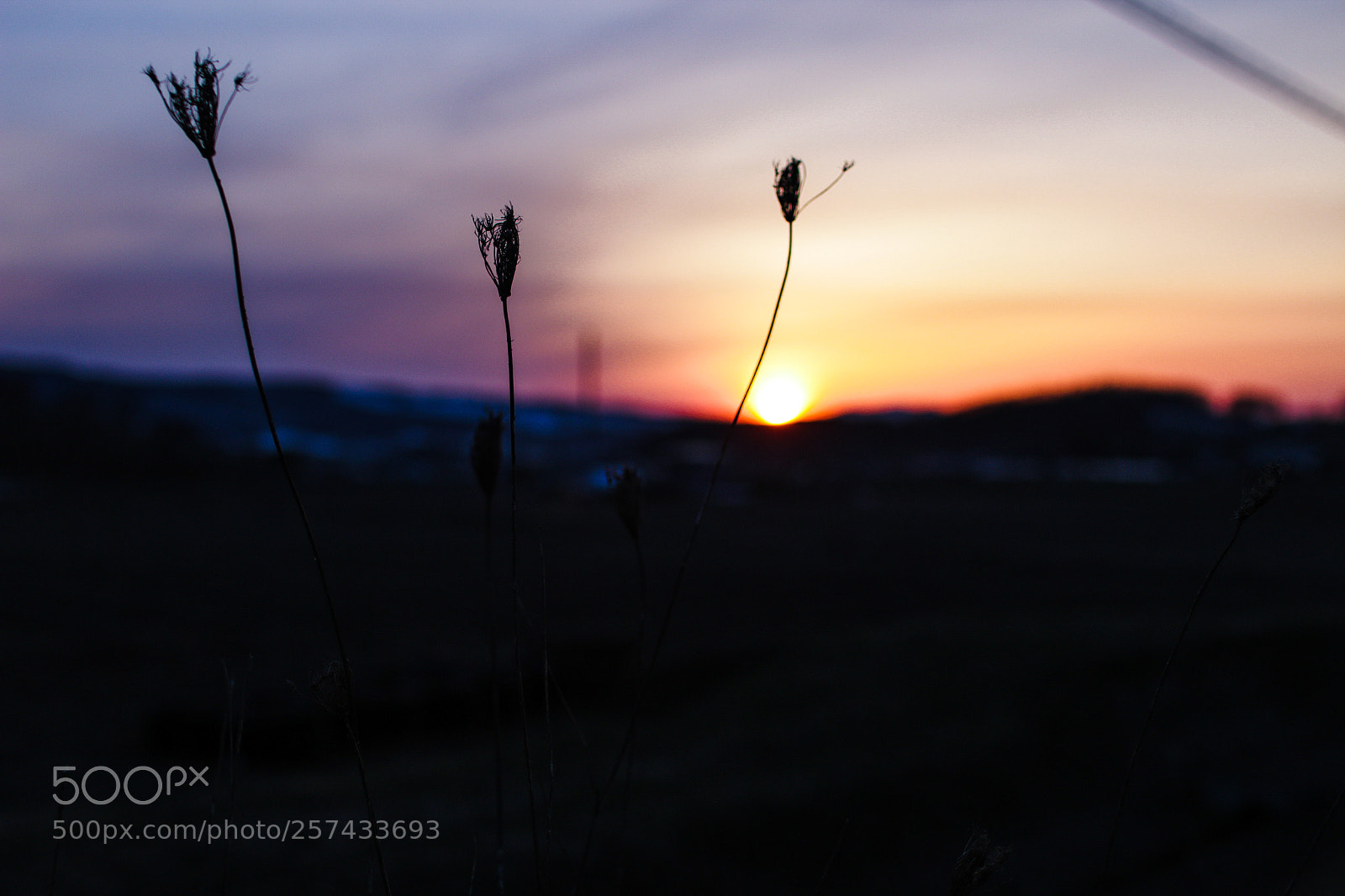 Canon EOS 70D sample photo. 春のにおいと夕焼けこやけ photography