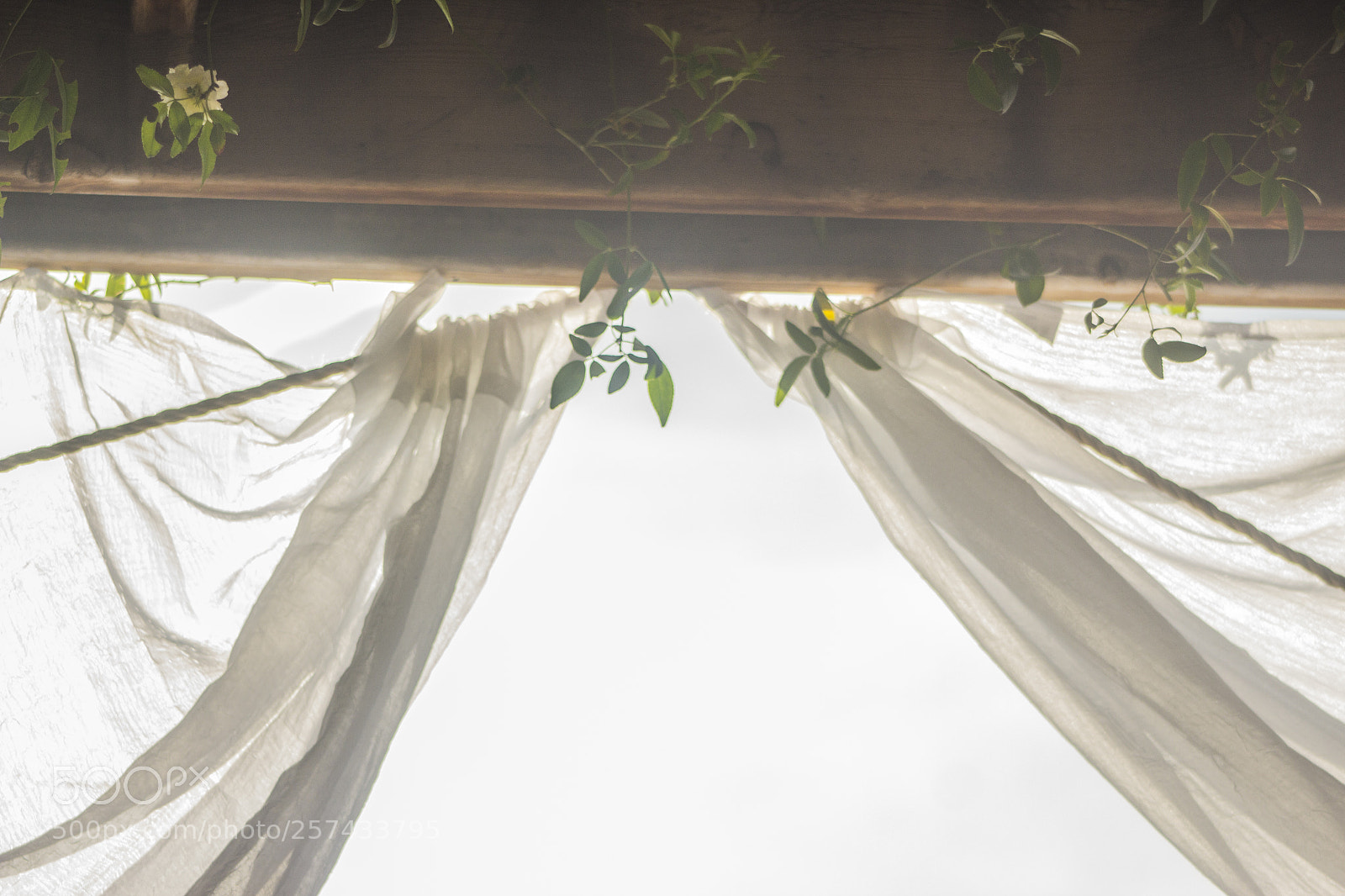 Canon EOS 600D (Rebel EOS T3i / EOS Kiss X5) sample photo. Afterlife photography