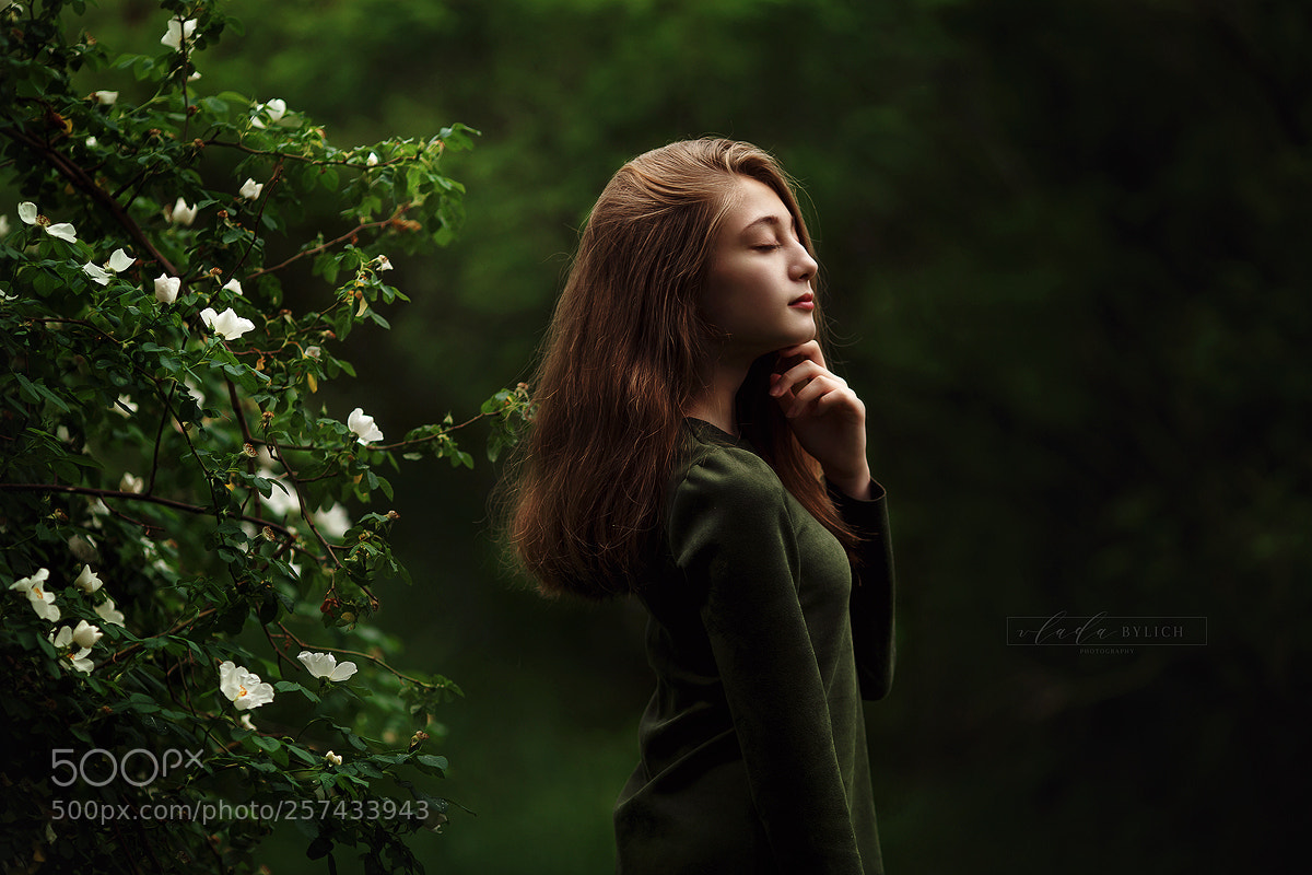Canon EOS 6D sample photo. Emerald photography