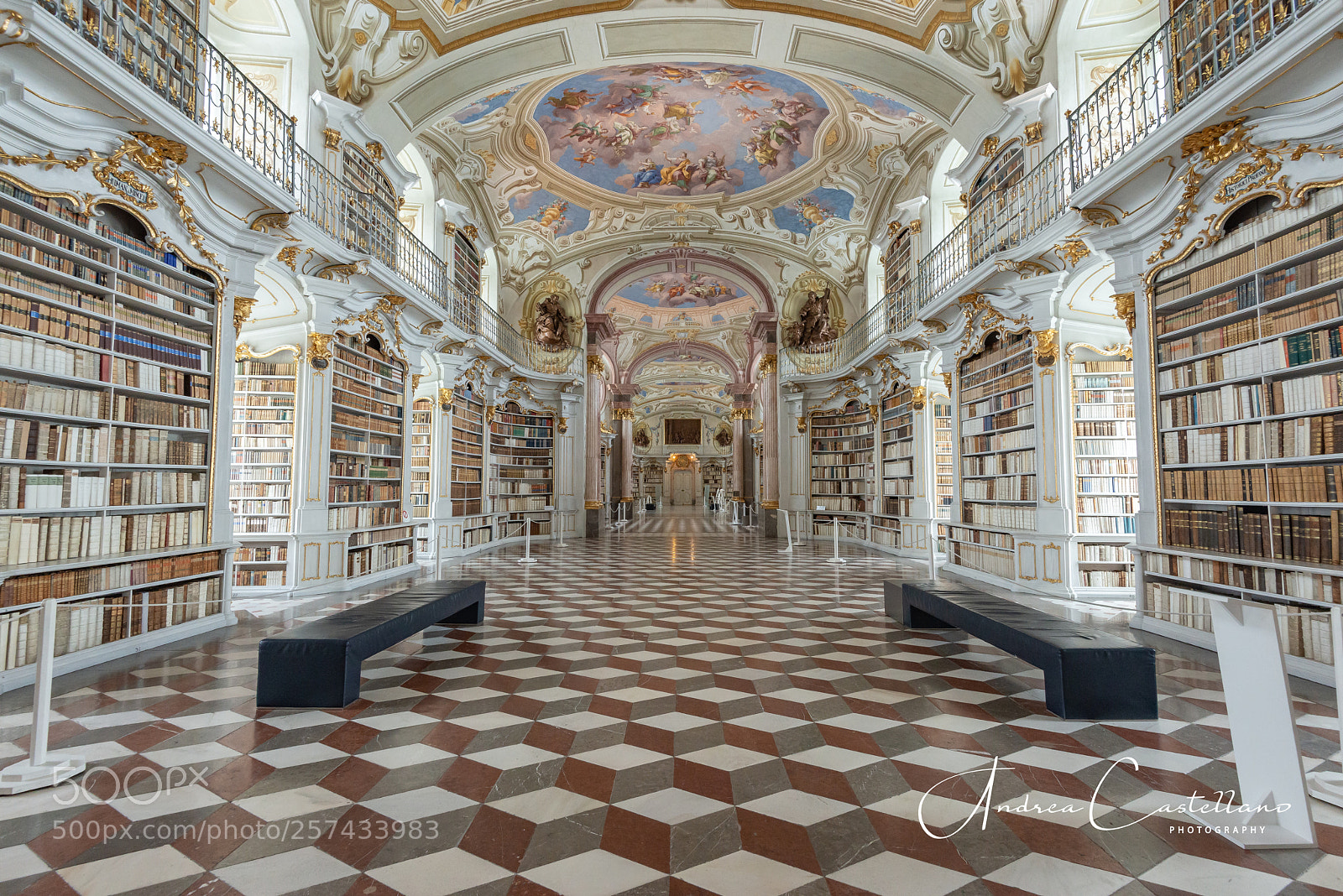 Nikon D800 sample photo. The library of admont photography