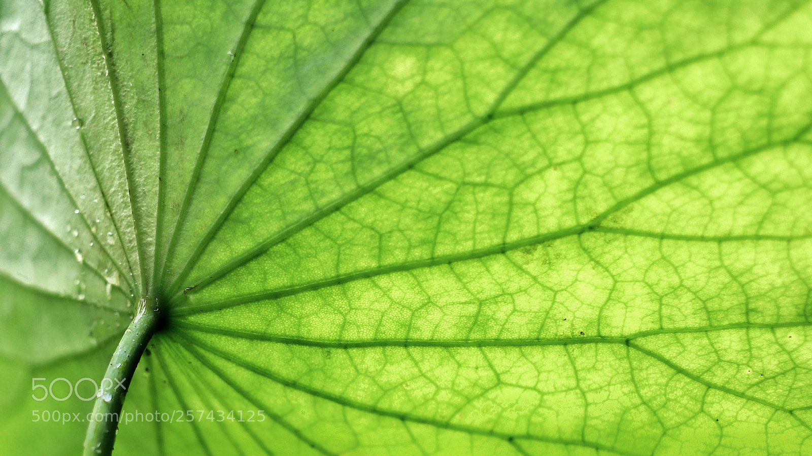 Canon EOS 6D sample photo. Untitled photography