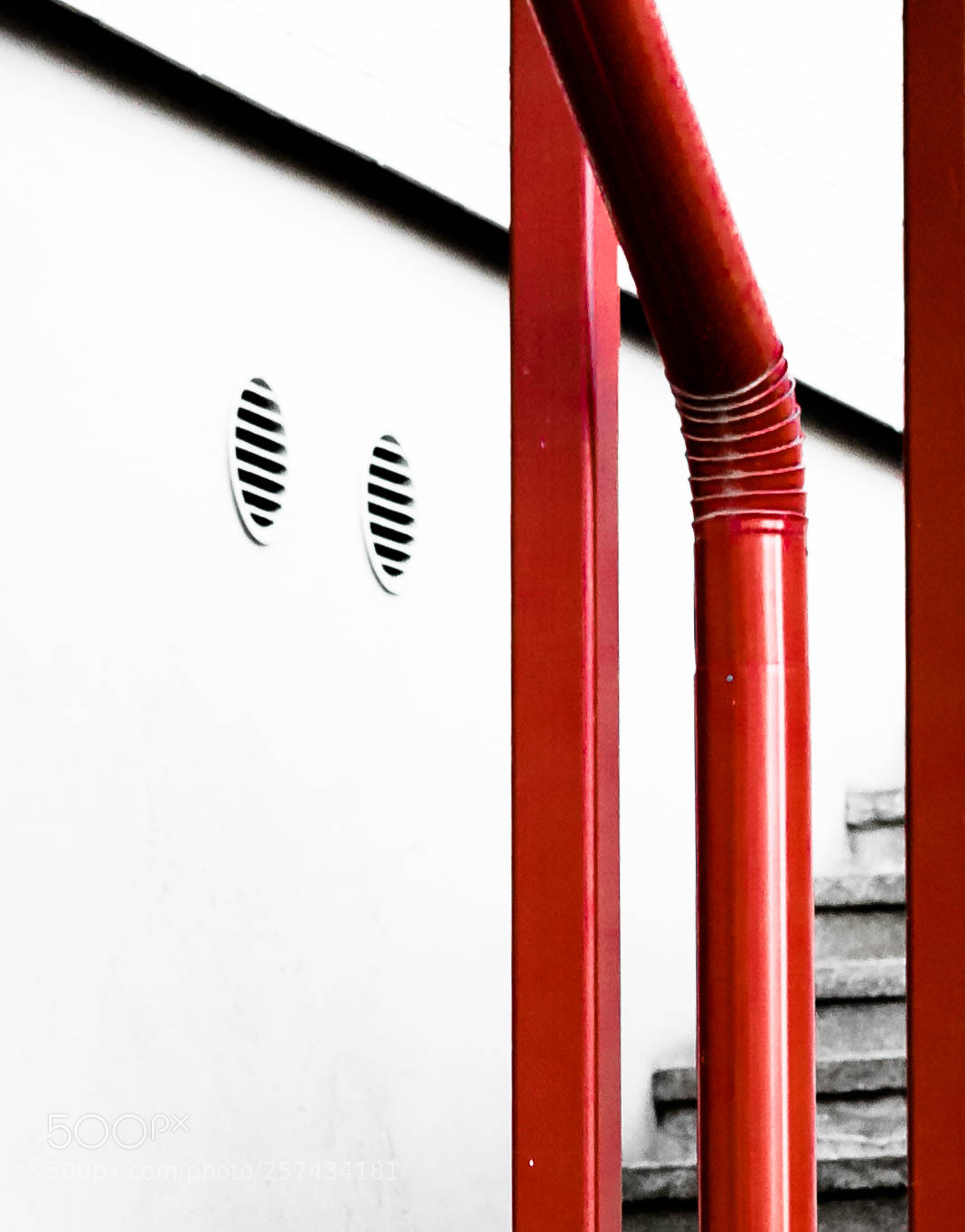 Nikon D3400 sample photo. Minimal reds photography