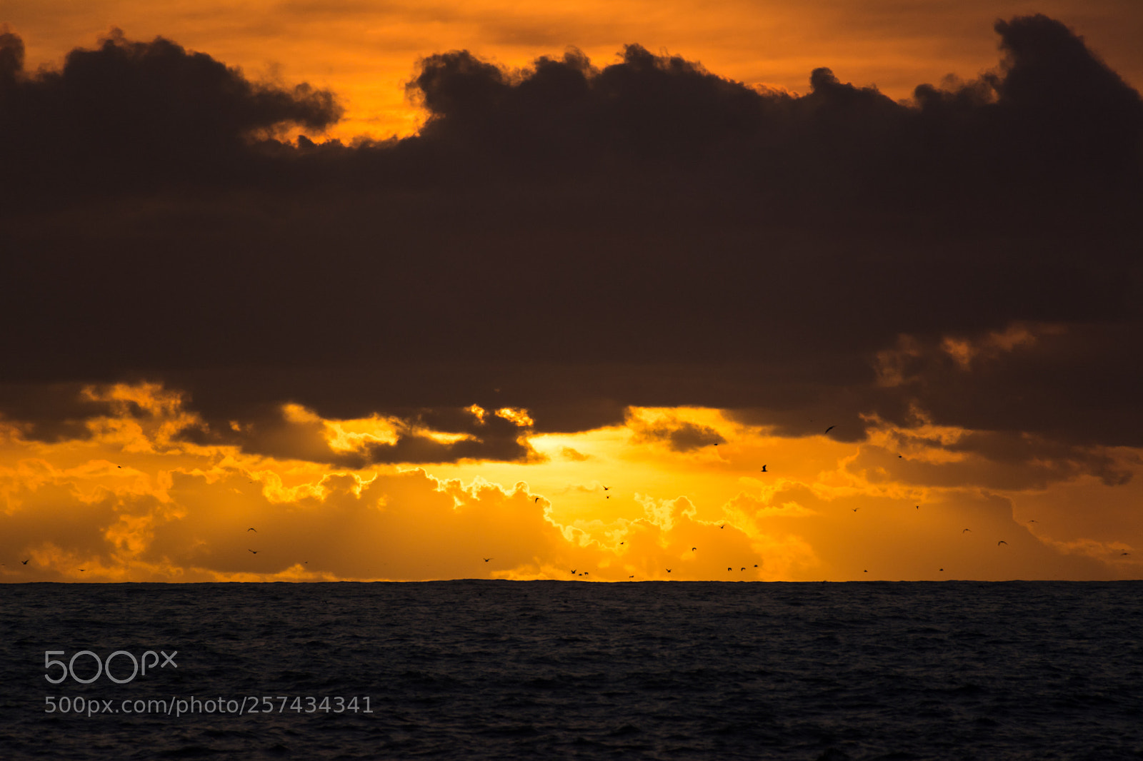 Nikon D7100 sample photo. Cloudy sunset photography