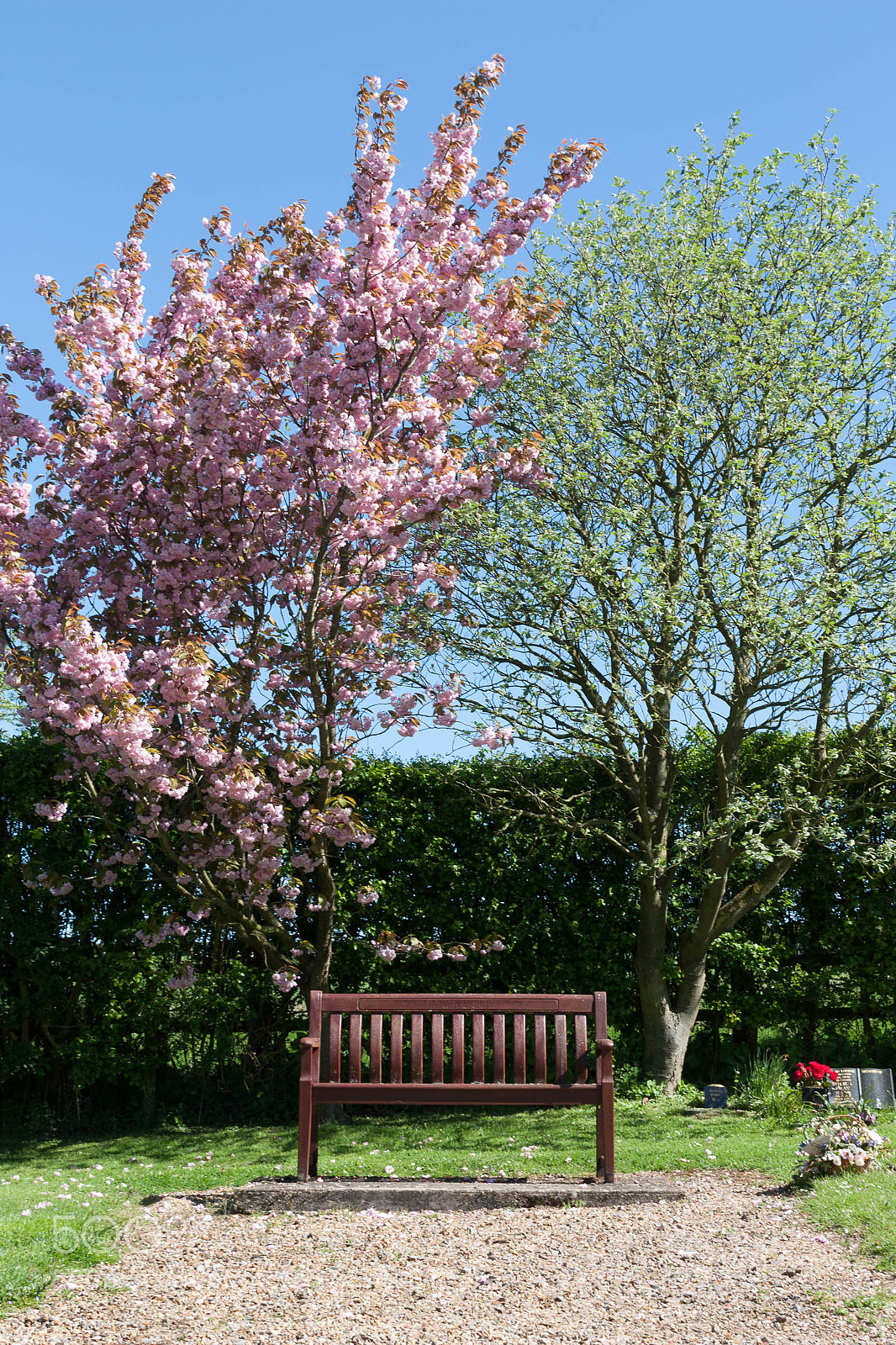 Canon EOS 450D (EOS Rebel XSi / EOS Kiss X2) sample photo. A place to sit photography