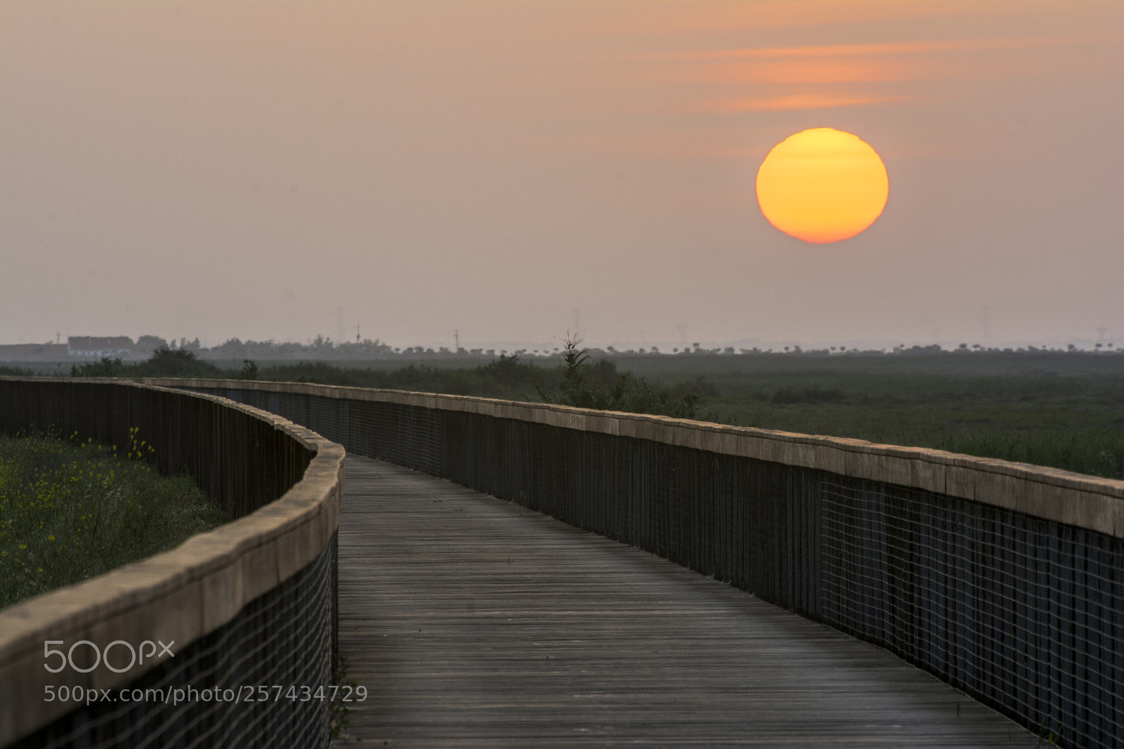 Nikon D7100 sample photo. Sun photography