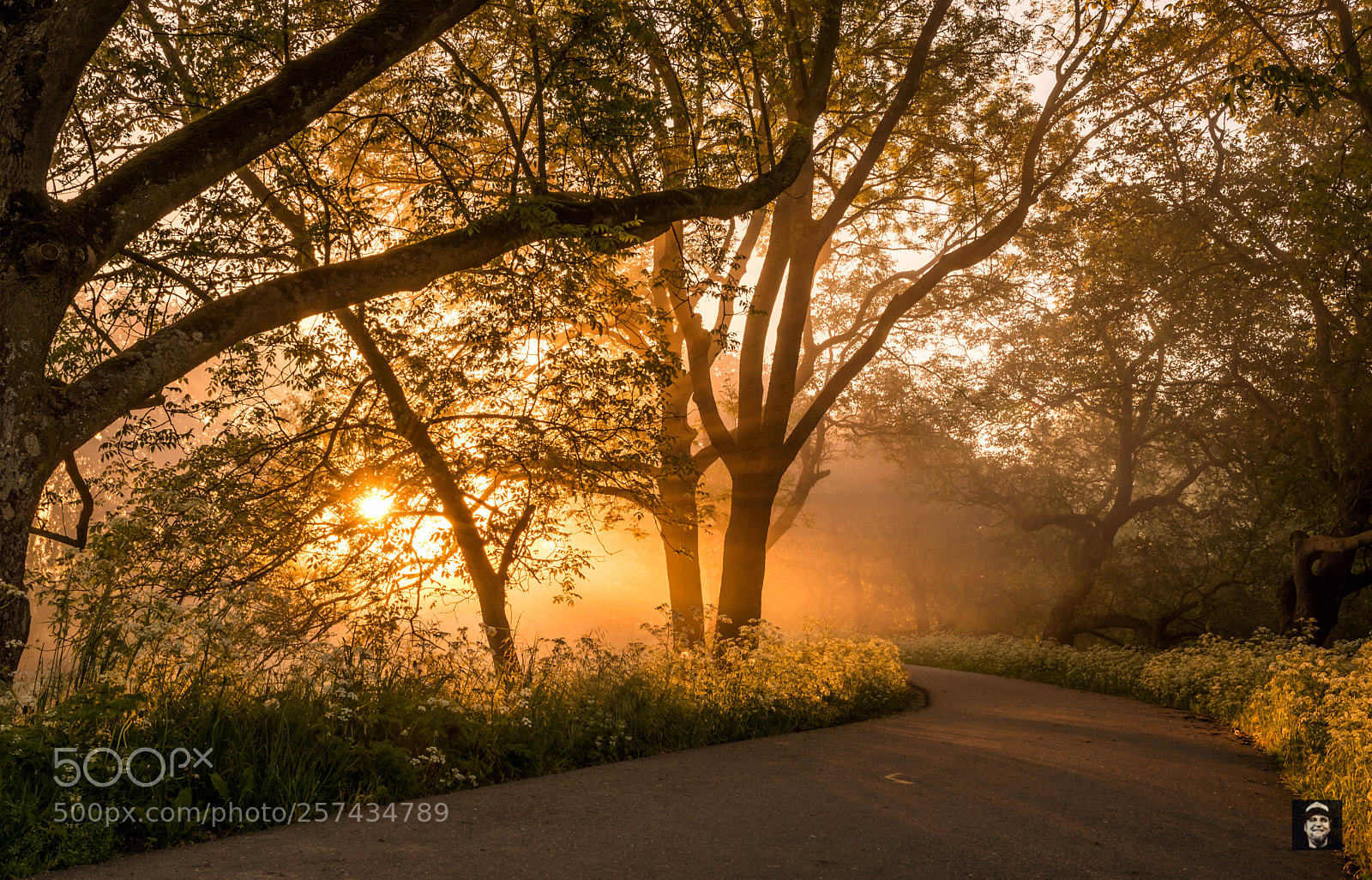 Nikon D7100 sample photo. Golden hour at the photography