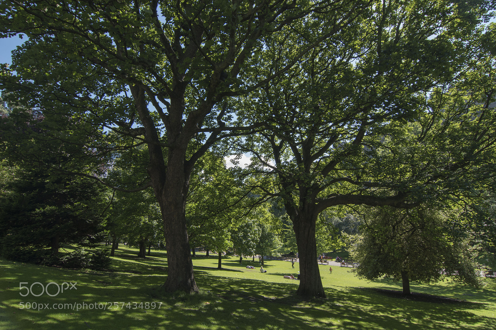 Nikon D5500 sample photo. Edinburgh park photography