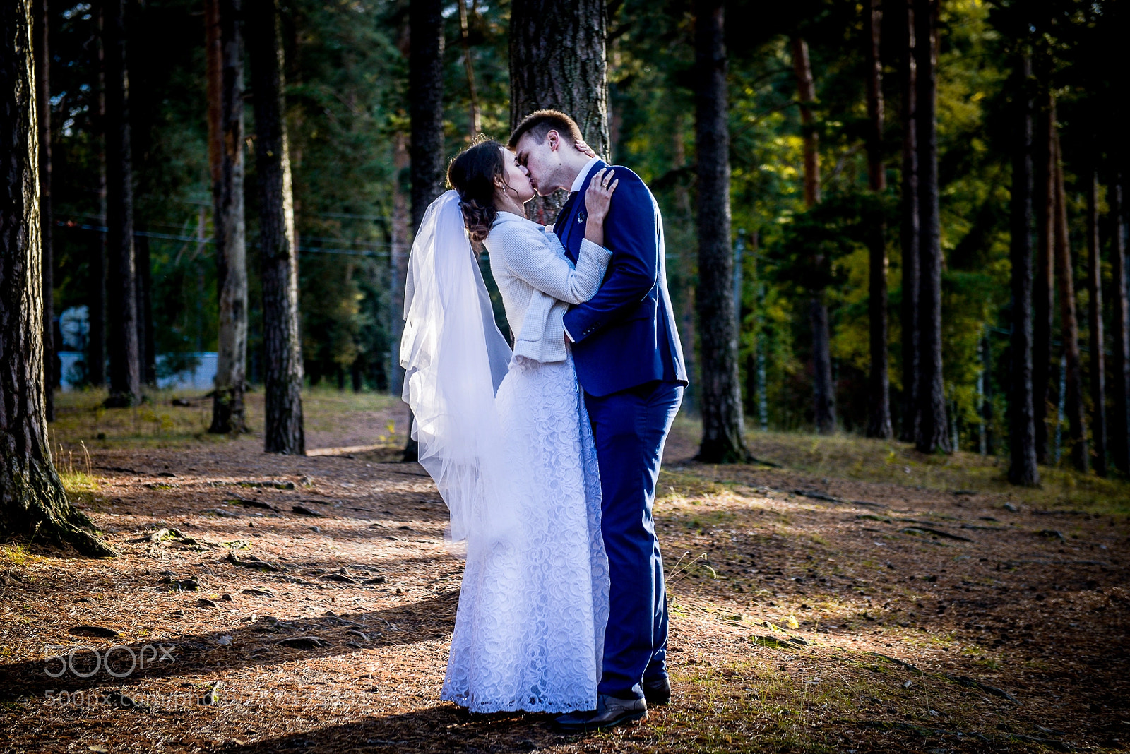 Nikon D800 sample photo. Forest mood photography