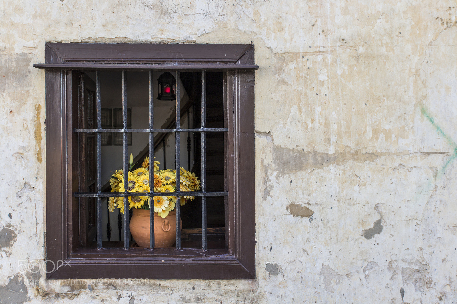 Canon EOS 6D sample photo. Windows photography