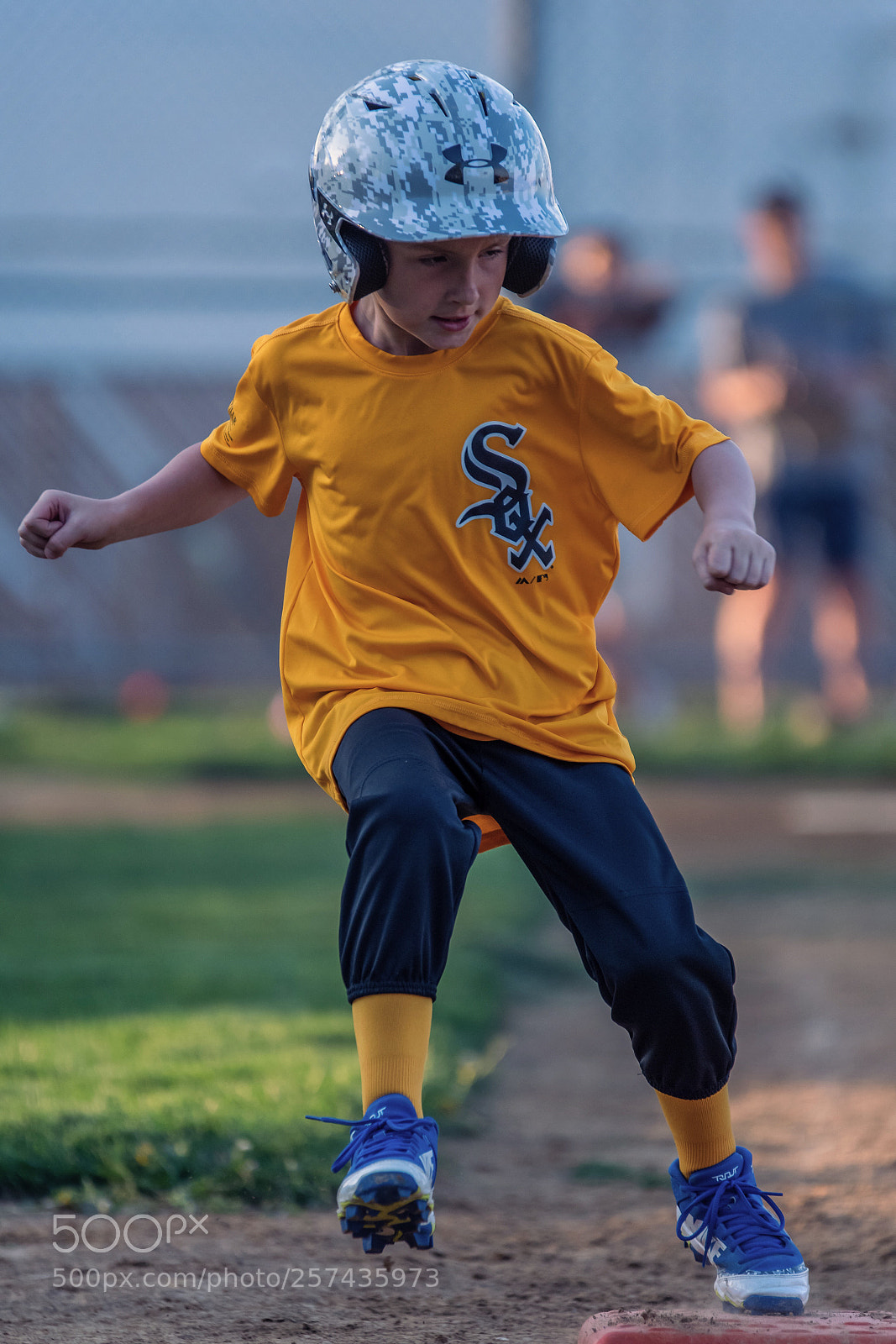 Nikon D810 sample photo. Yellow sox photography