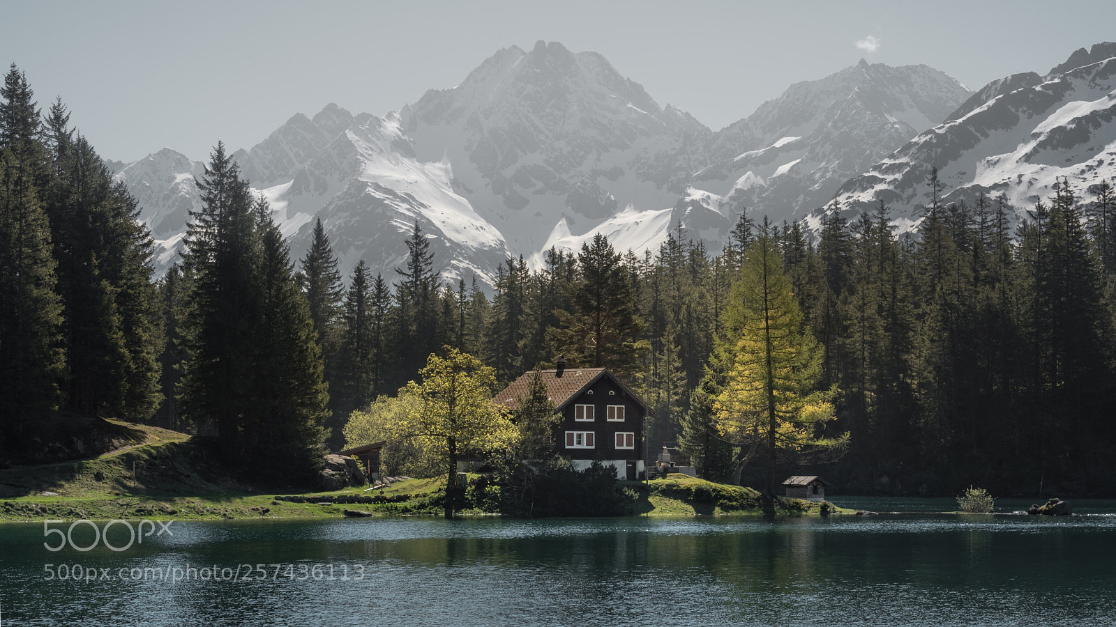 Nikon D750 sample photo. Beautiful arnisee photography