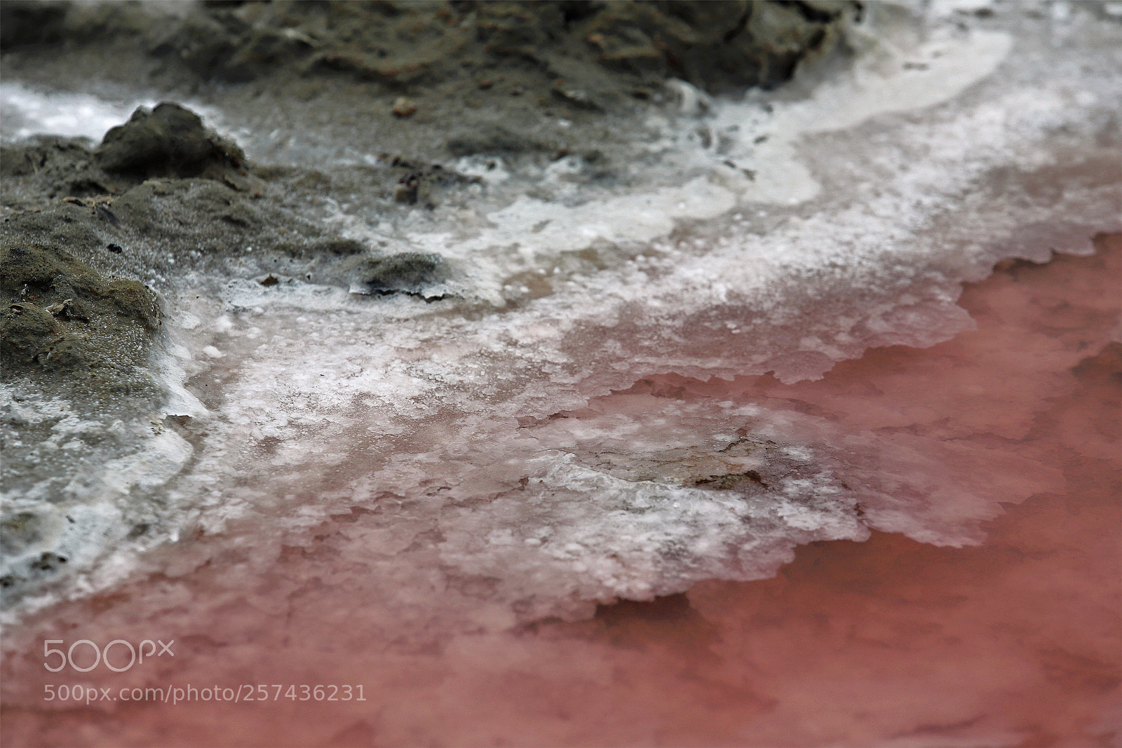 Canon EOS 6D Mark II sample photo. Salt of the pink photography