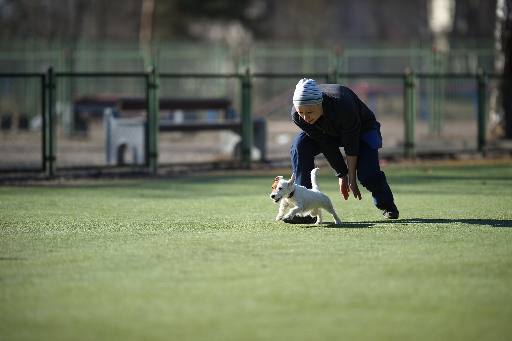 Nikon AF-S Nikkor 200mm F2G ED VR II sample photo. Flyball st.petersburg photography