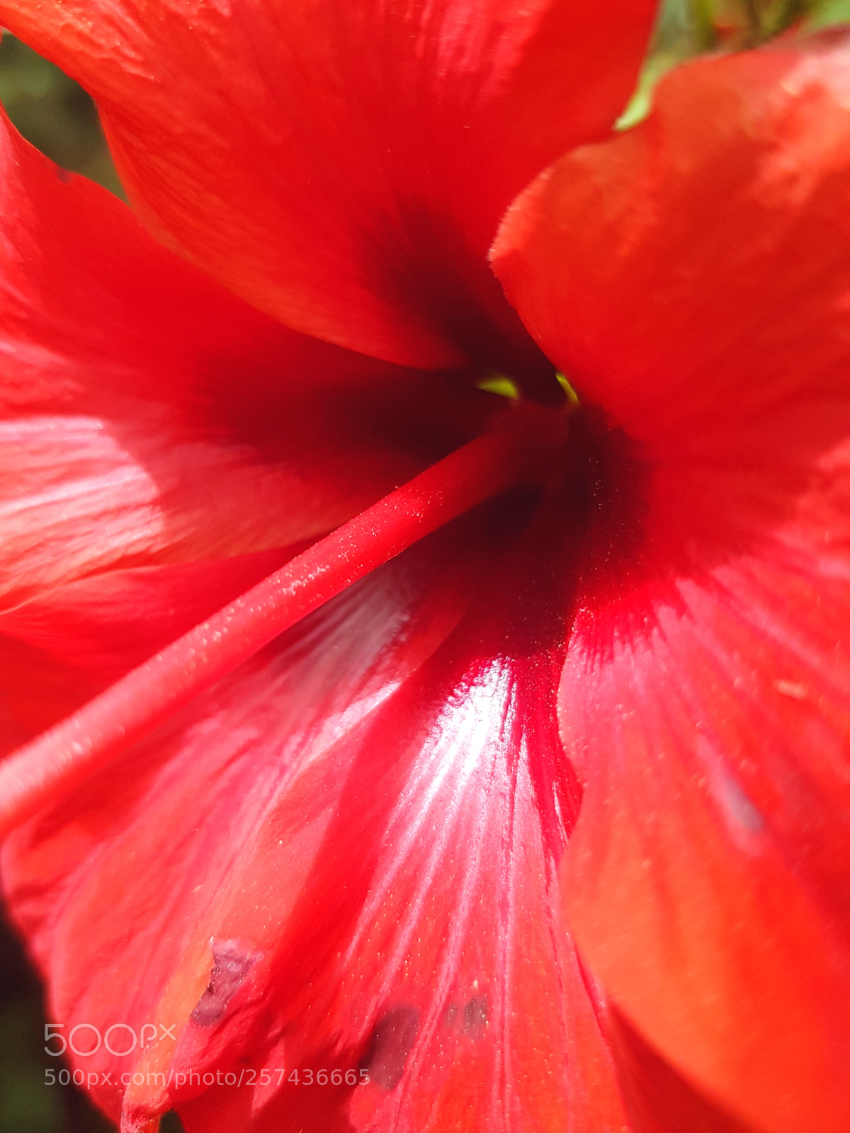 Samsung Galaxy S8+ sample photo. Untitled photography