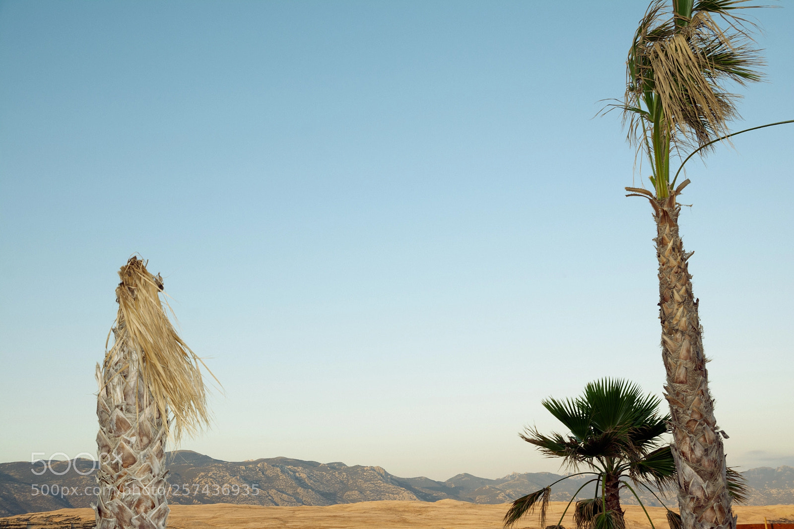 Nikon D7100 sample photo. Wild wild west photography