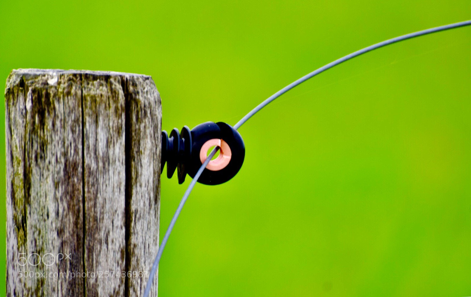 Nikon D5300 sample photo. Electric fence photography