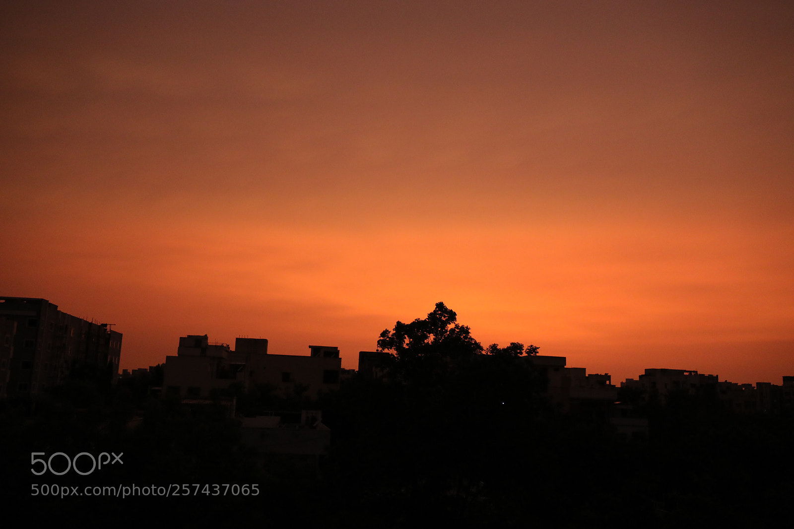 Canon EOS 5D Mark IV sample photo. Untitled photography