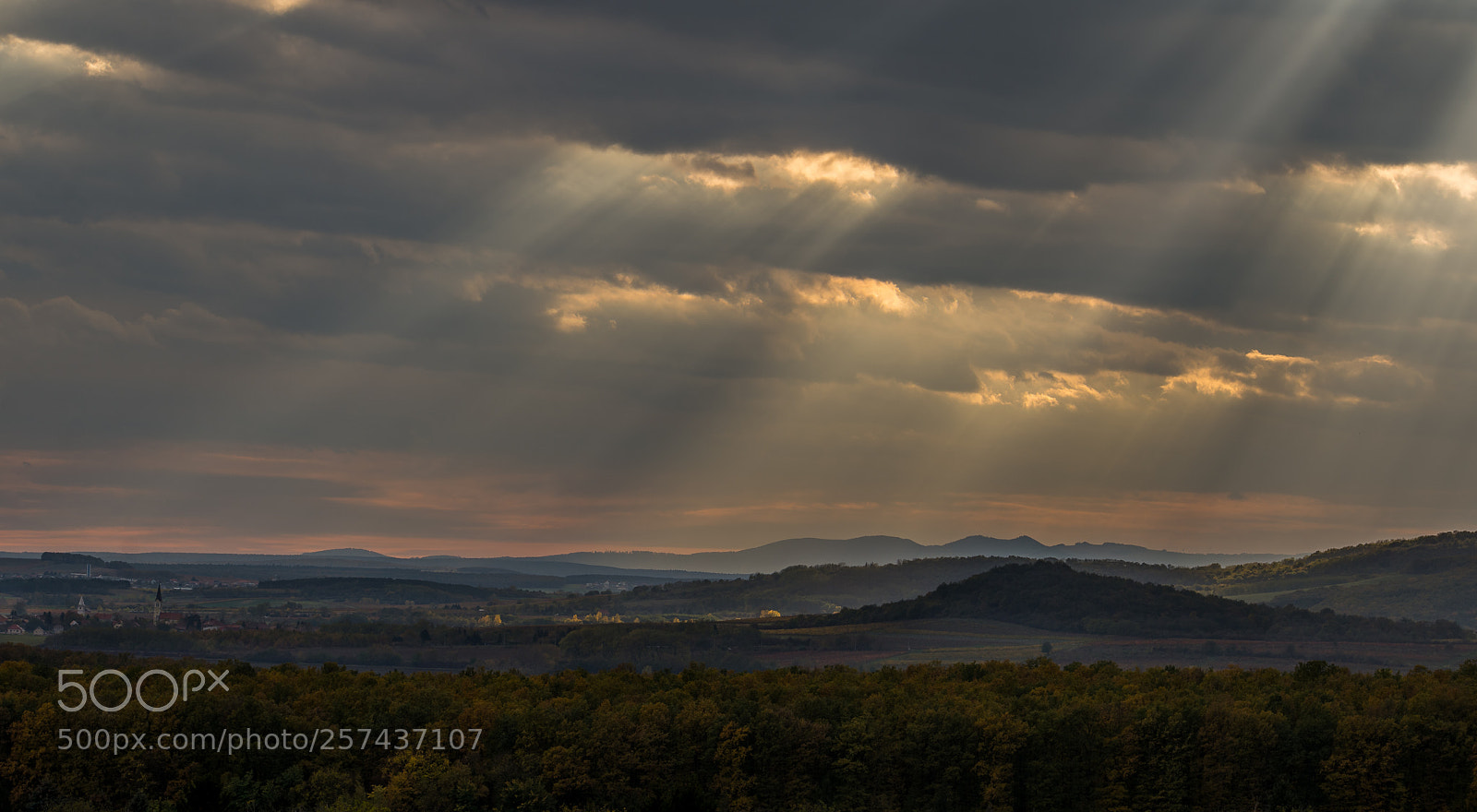 Nikon D610 sample photo. After storm. photography