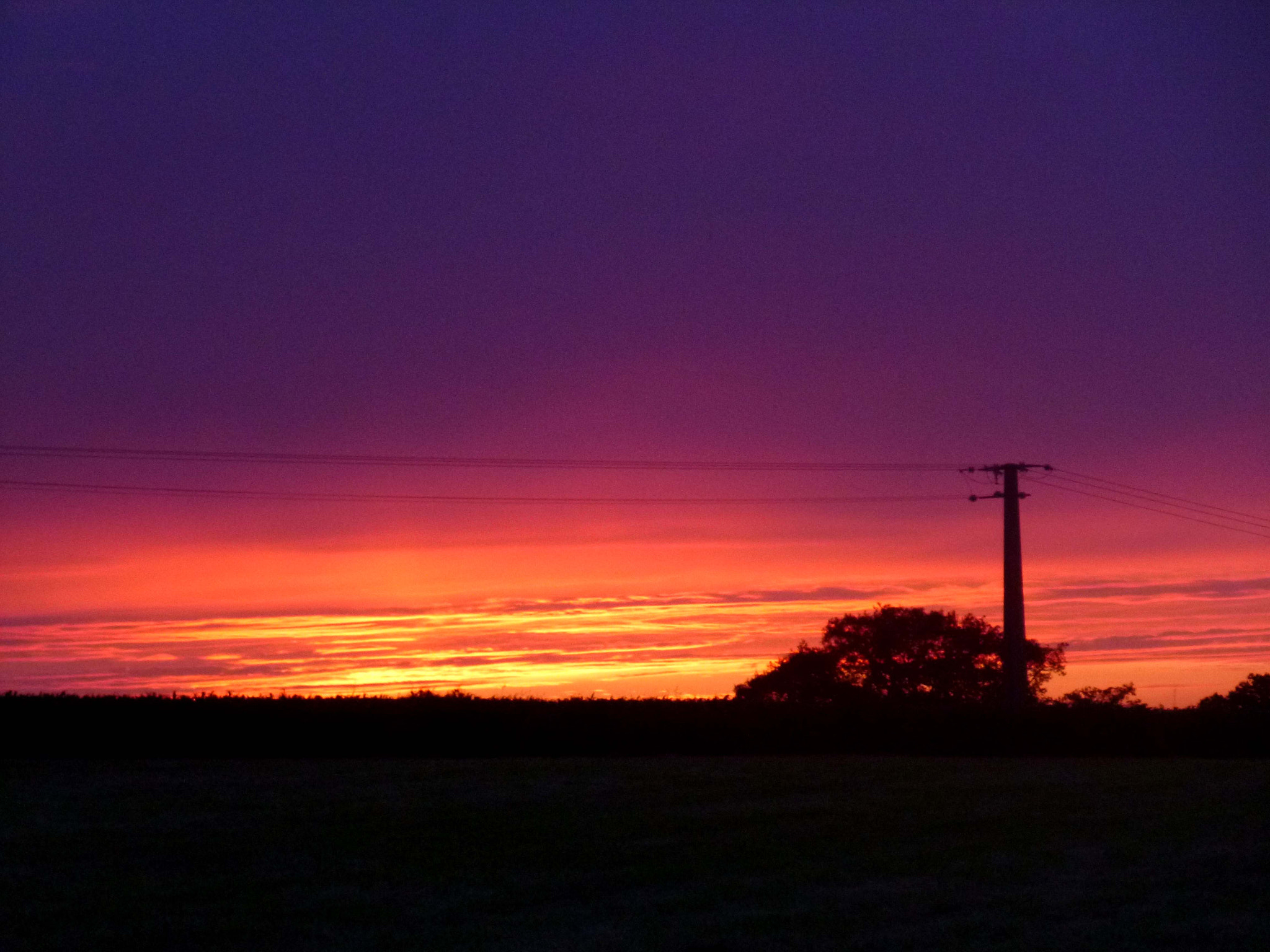 Panasonic DMC-SZ1 sample photo. My purple night photography