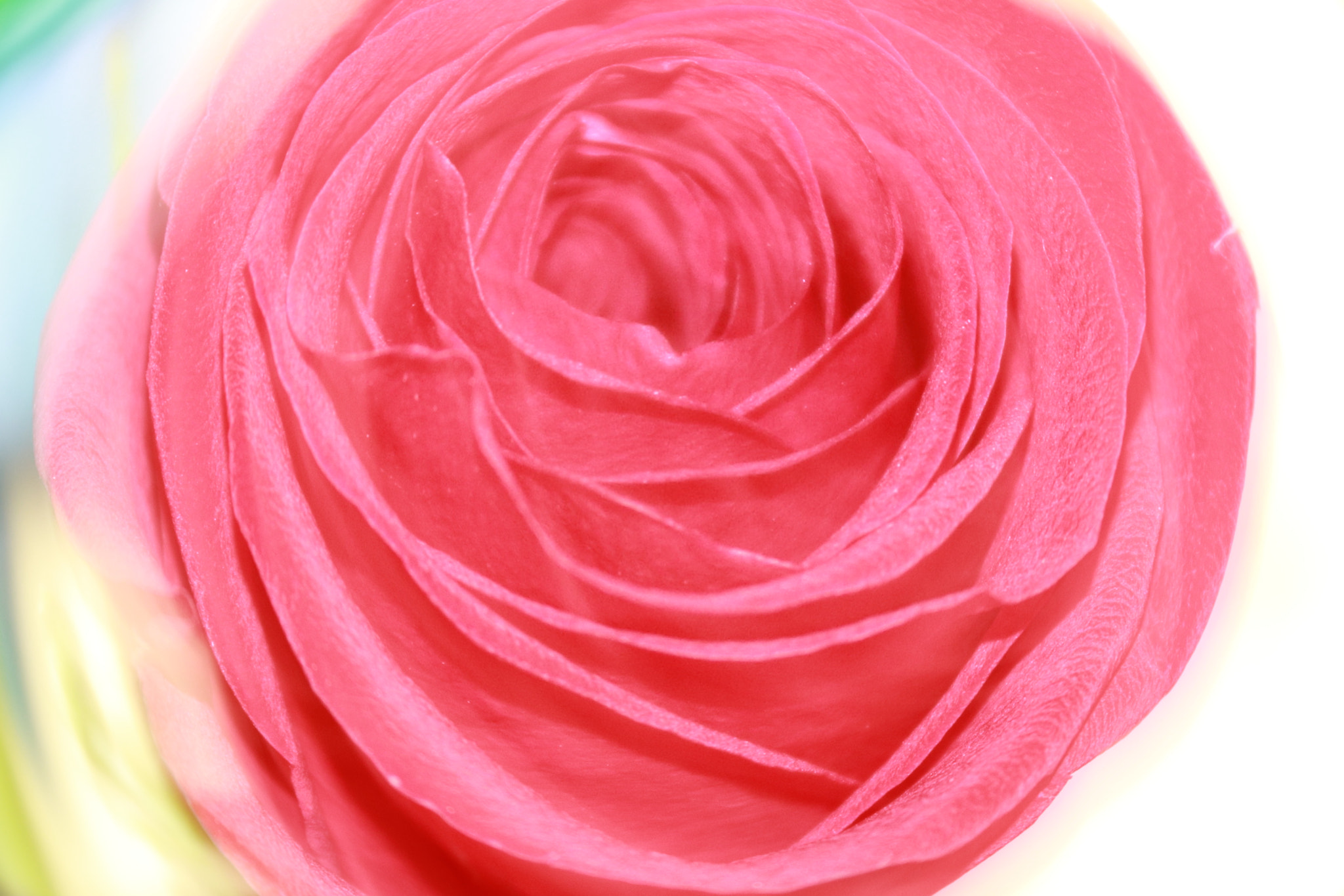 Canon EOS 77D (EOS 9000D / EOS 770D) sample photo