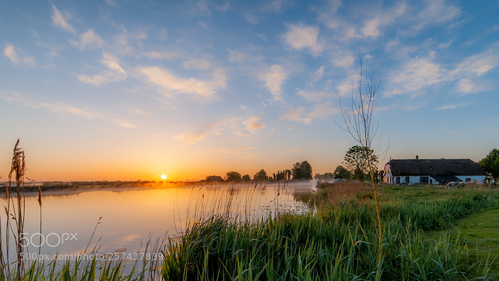 Nikon D700 sample photo. Misty morning photography