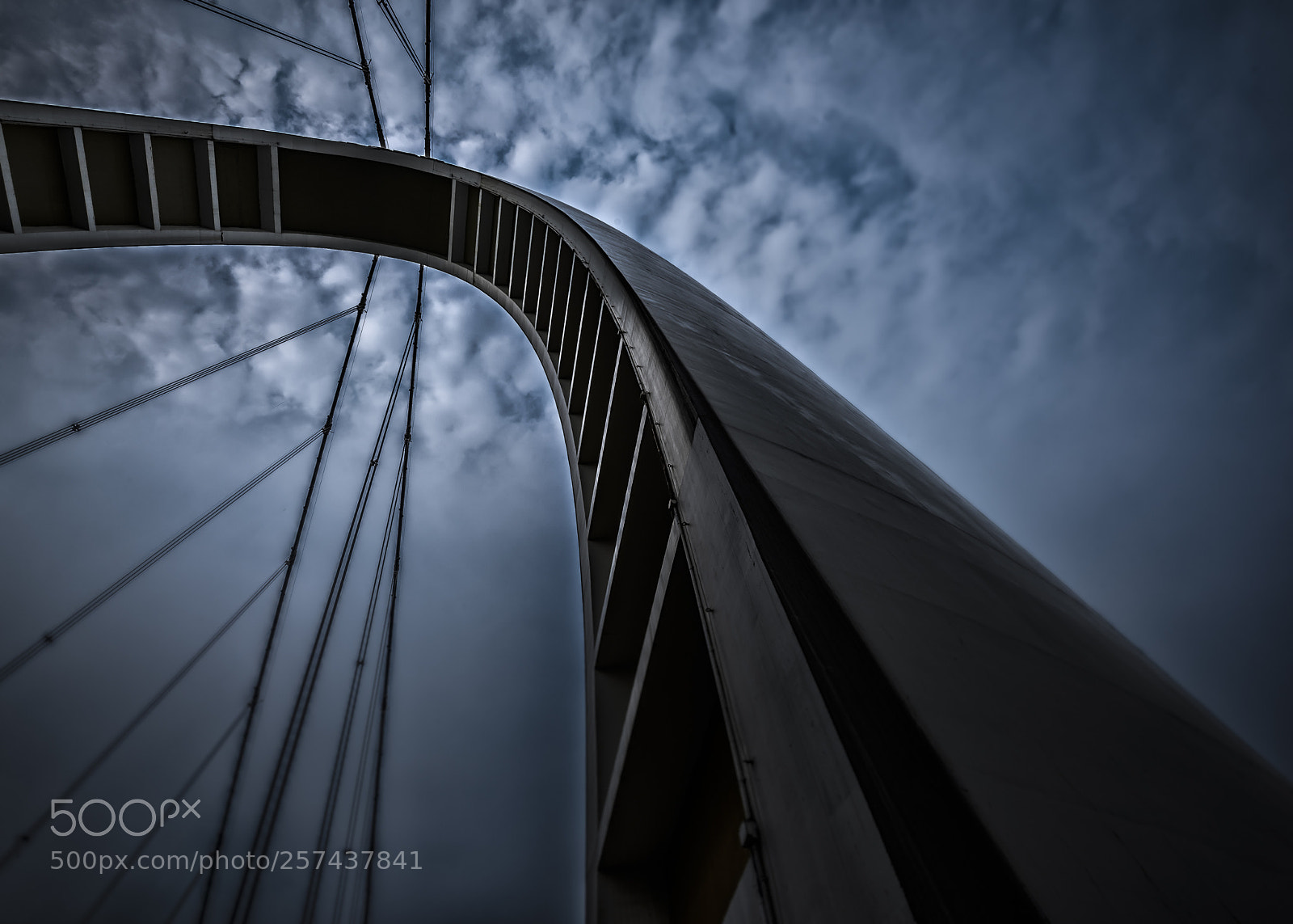 Nikon D810 sample photo. Into sky photography