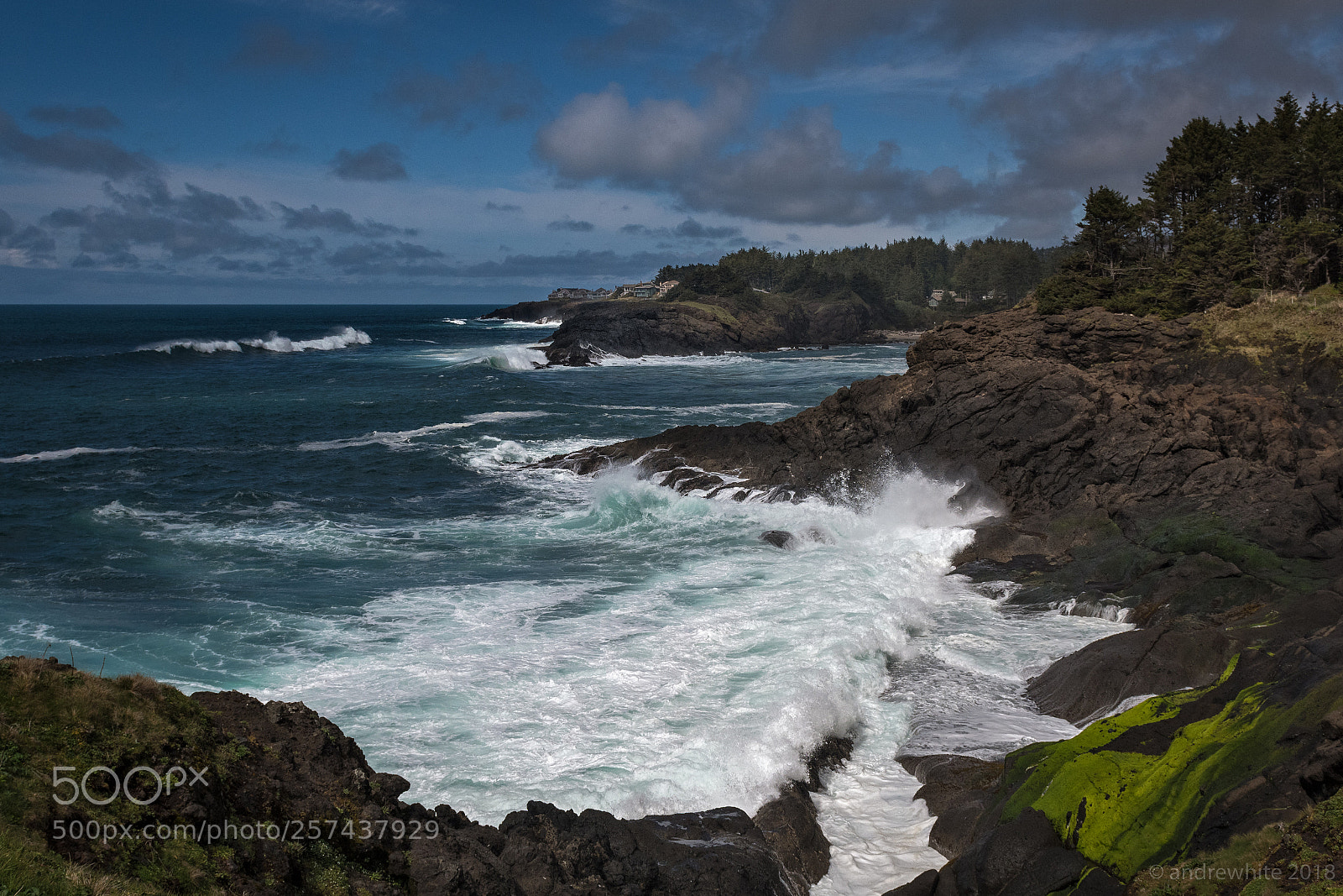 Nikon D850 sample photo. Whale cove photography