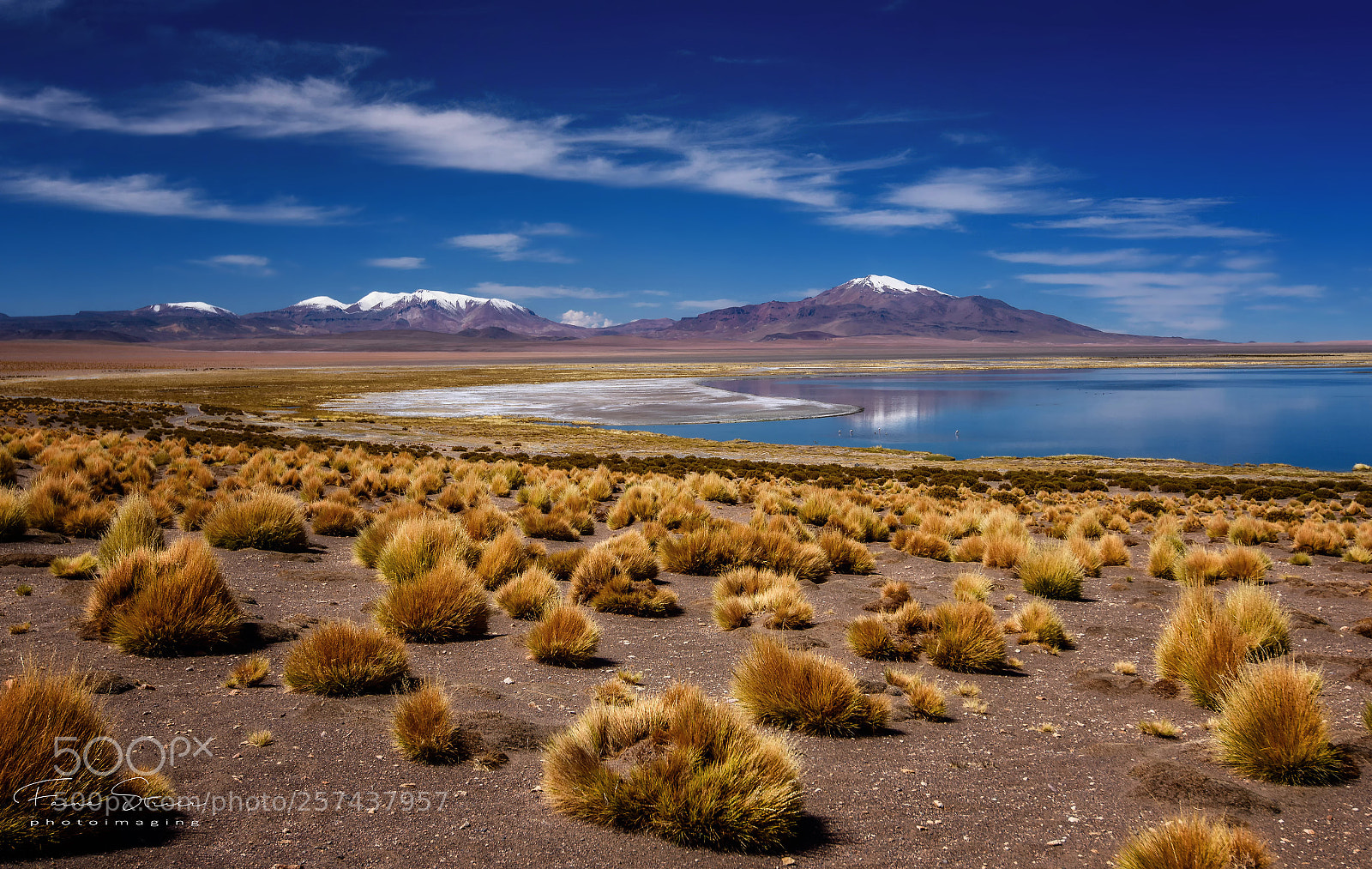 Nikon D750 sample photo. Surreal atacama photography