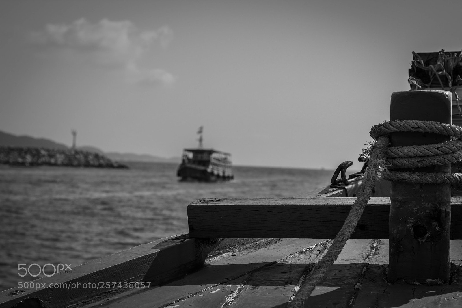 Nikon D7100 sample photo. Move on photography