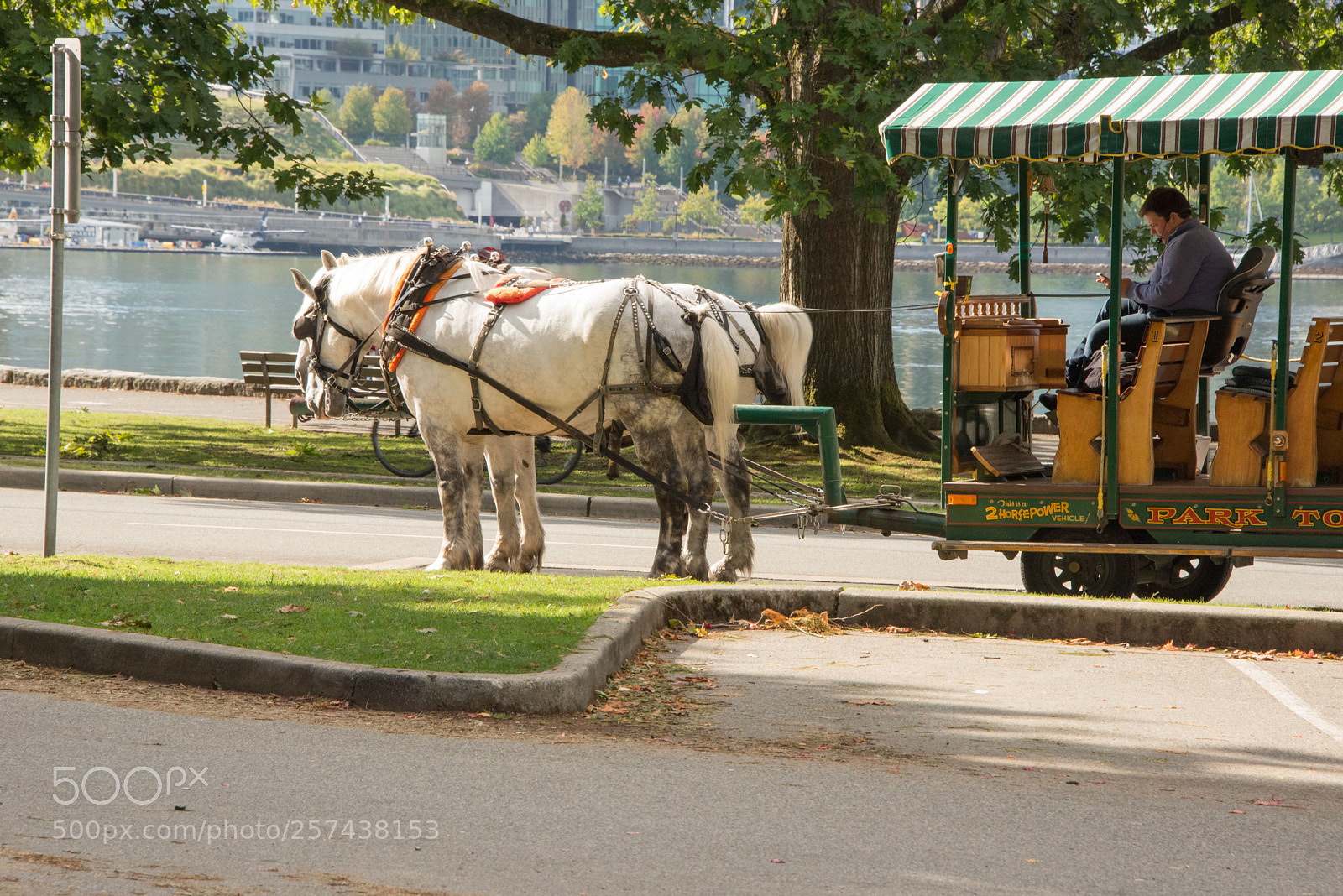 Nikon D610 sample photo. Gdk photography