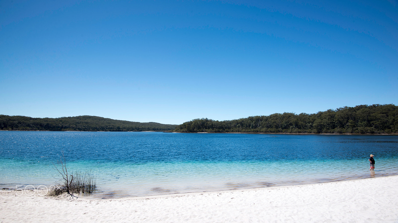 Nikon D610 sample photo. Aust qld fi photography