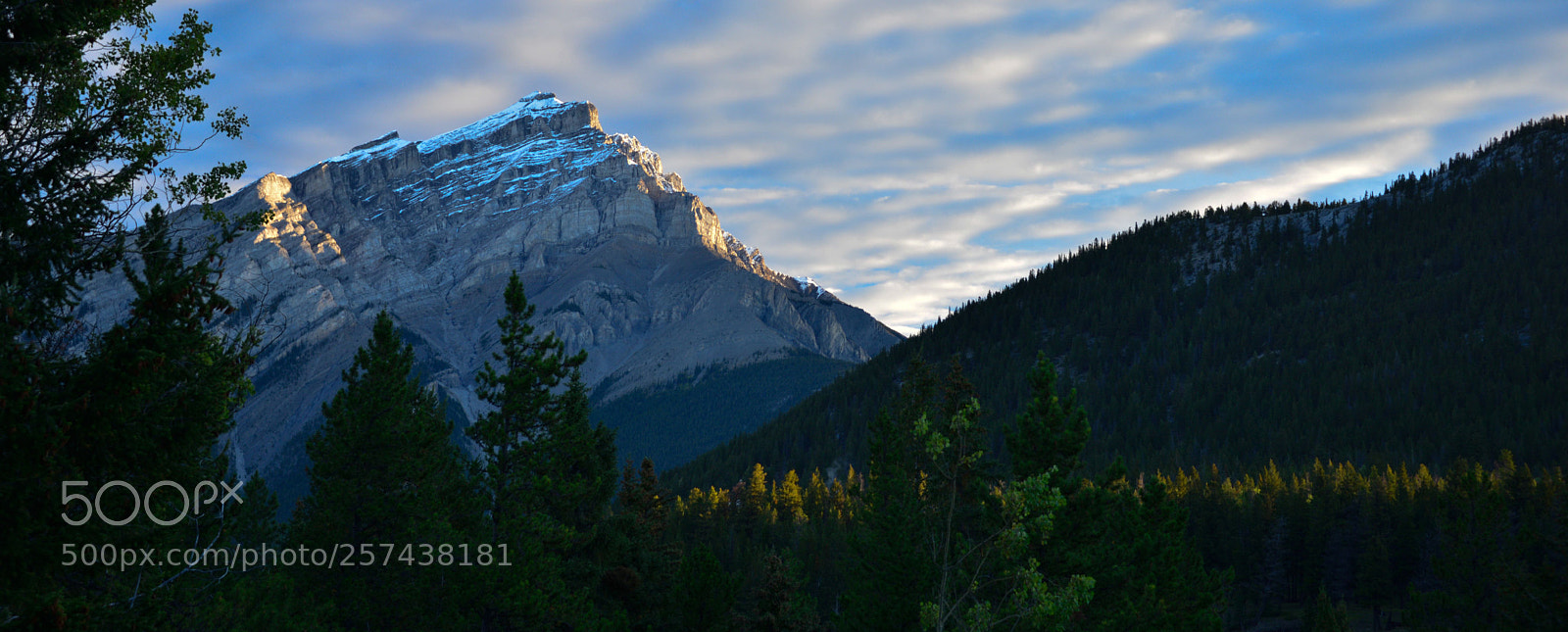 Nikon D610 sample photo. Can ll photography