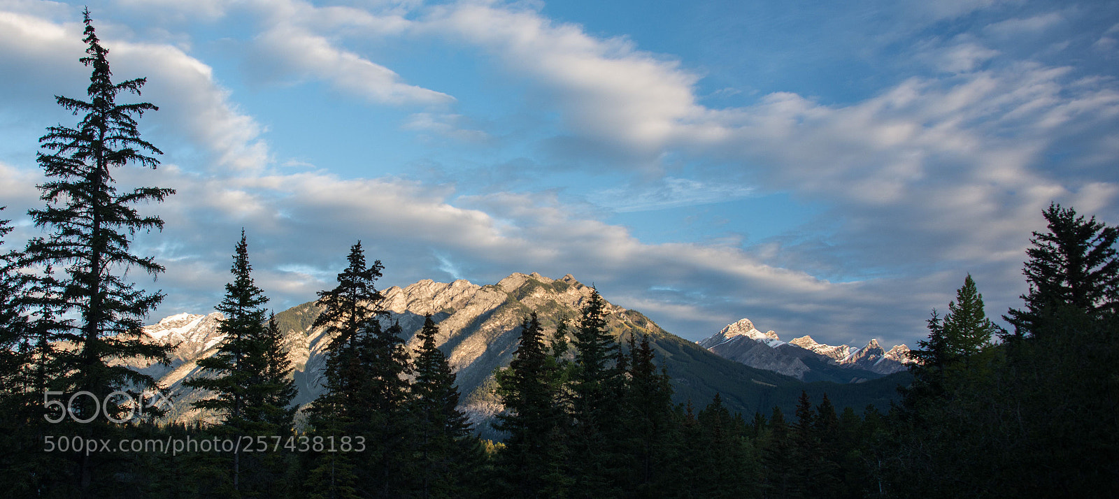 Nikon D610 sample photo. Can ll photography