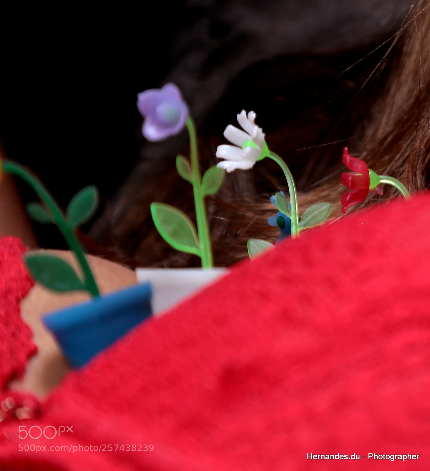 Canon EOS 6D + Canon EF 24-105mm F4L IS USM sample photo. Img photography