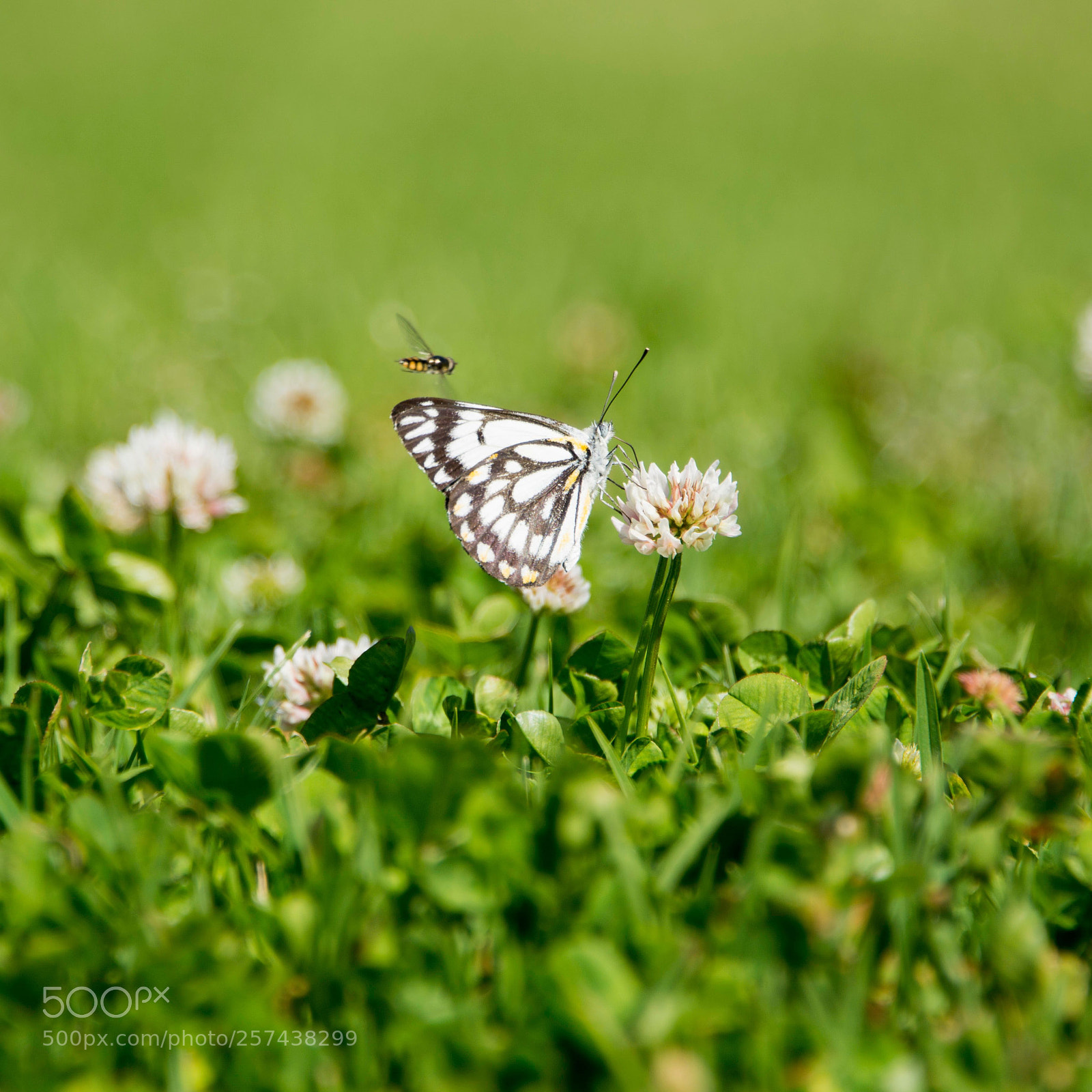 Nikon D7100 sample photo. Untitled photography