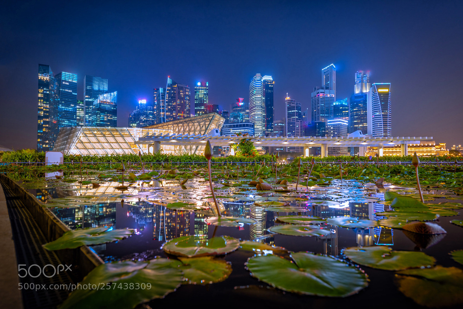 Nikon D750 sample photo. Singapore skyline and view photography