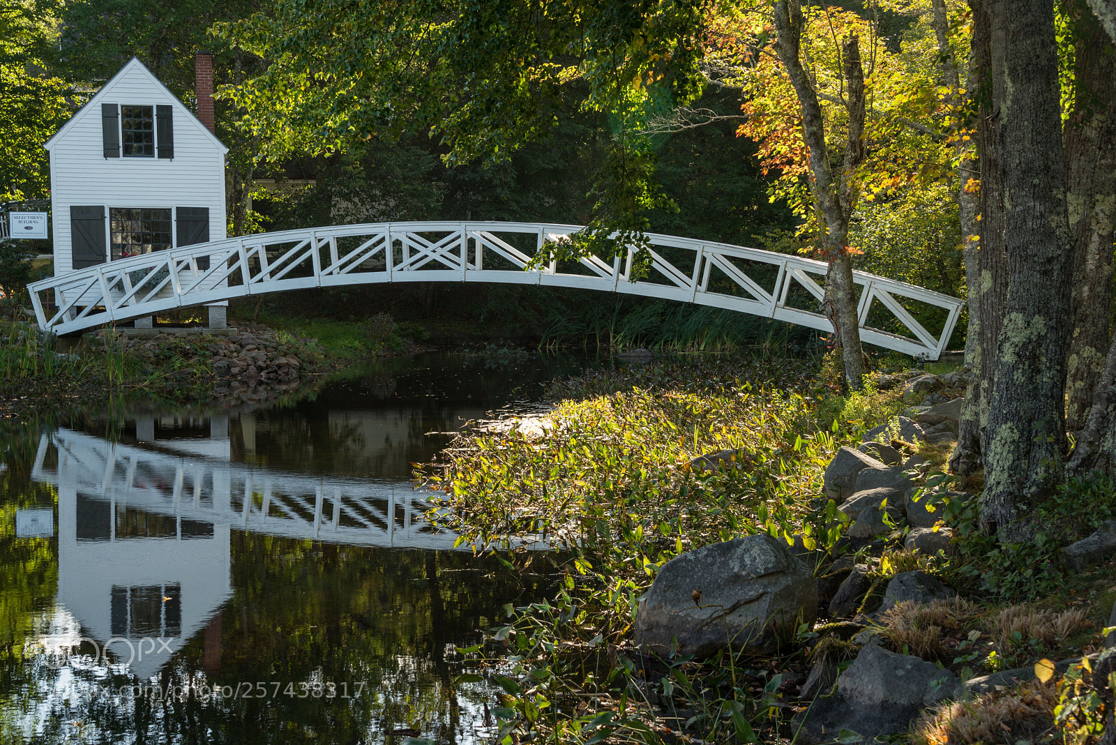 Nikon D610 sample photo. Usa mne anp photography
