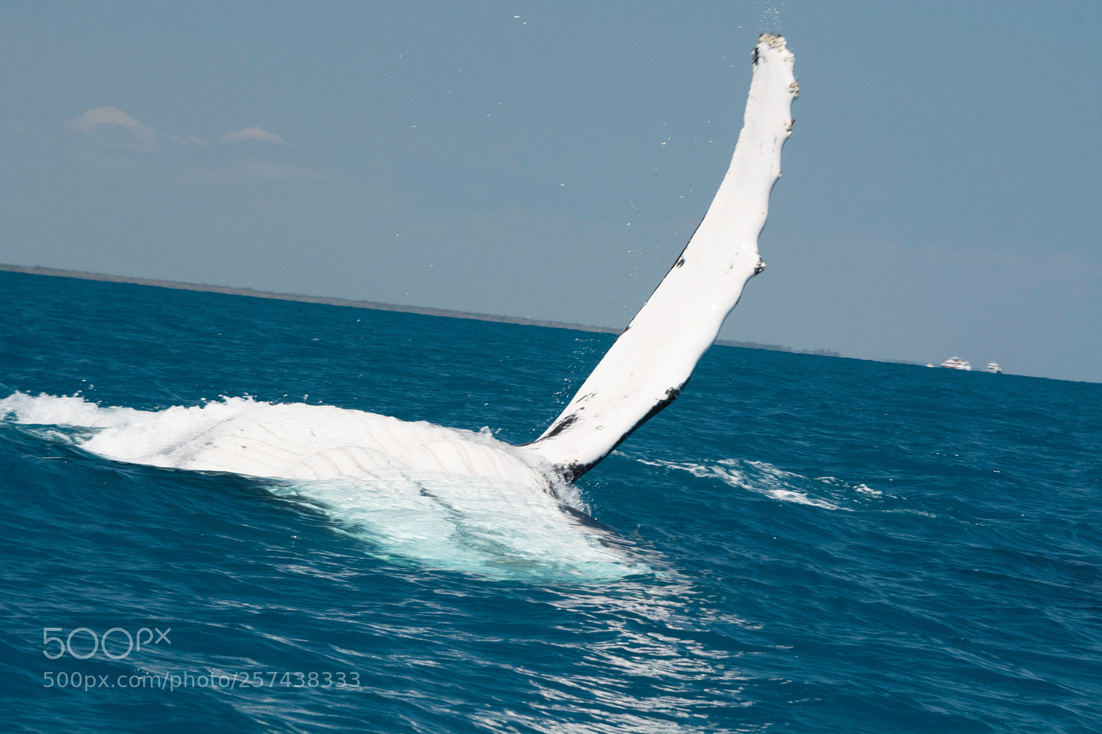 Nikon D7100 sample photo. Ww hb qld aust photography