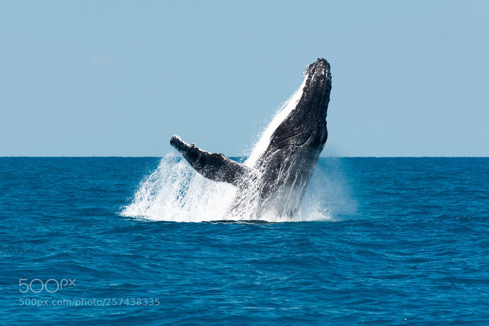 Nikon D7100 sample photo. Ww hb qld aust photography