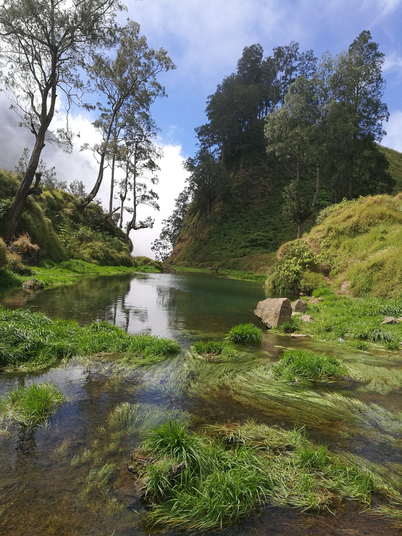 HUAWEI Honor 8 sample photo. Let the water lives photography