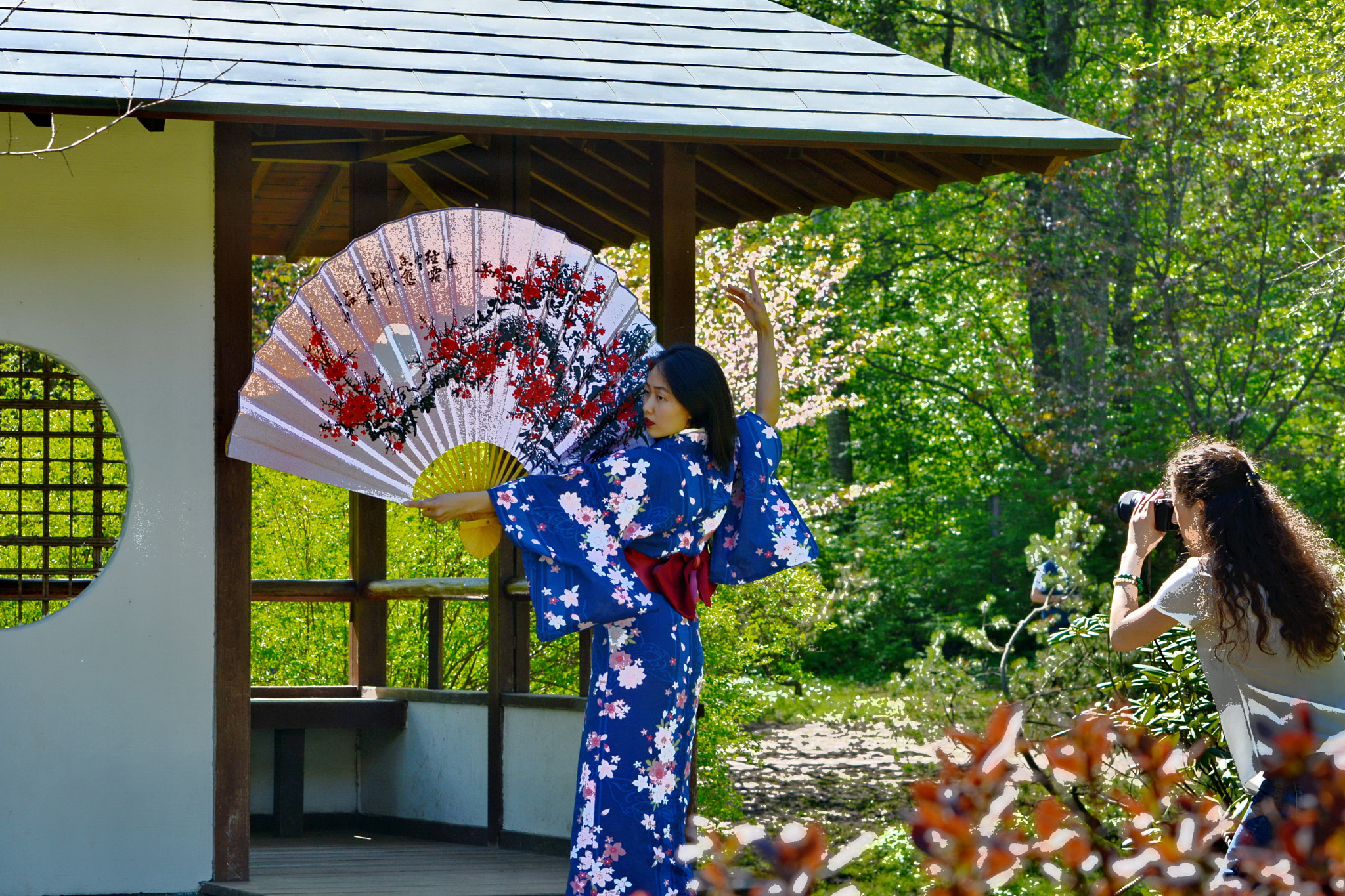 Nikon D5200 sample photo. Wonderful vision photography