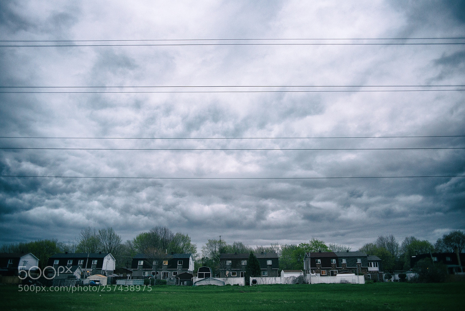 Nikon D600 sample photo. Untitled photography