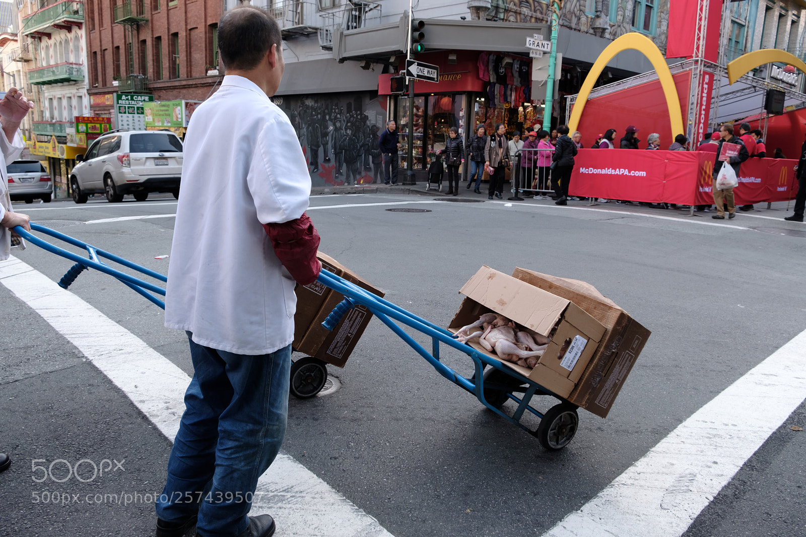 Fujifilm X-T20 sample photo. Extremely fresh photography