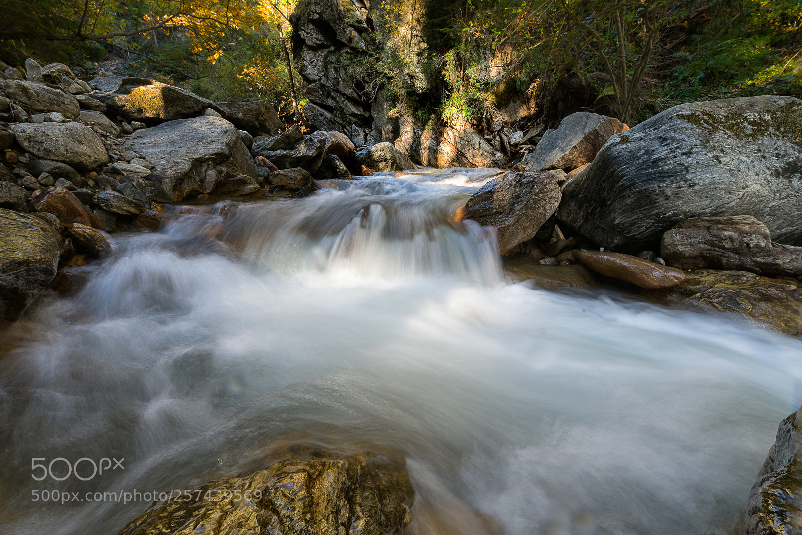 Nikon D750 sample photo. Am schoederbach photography