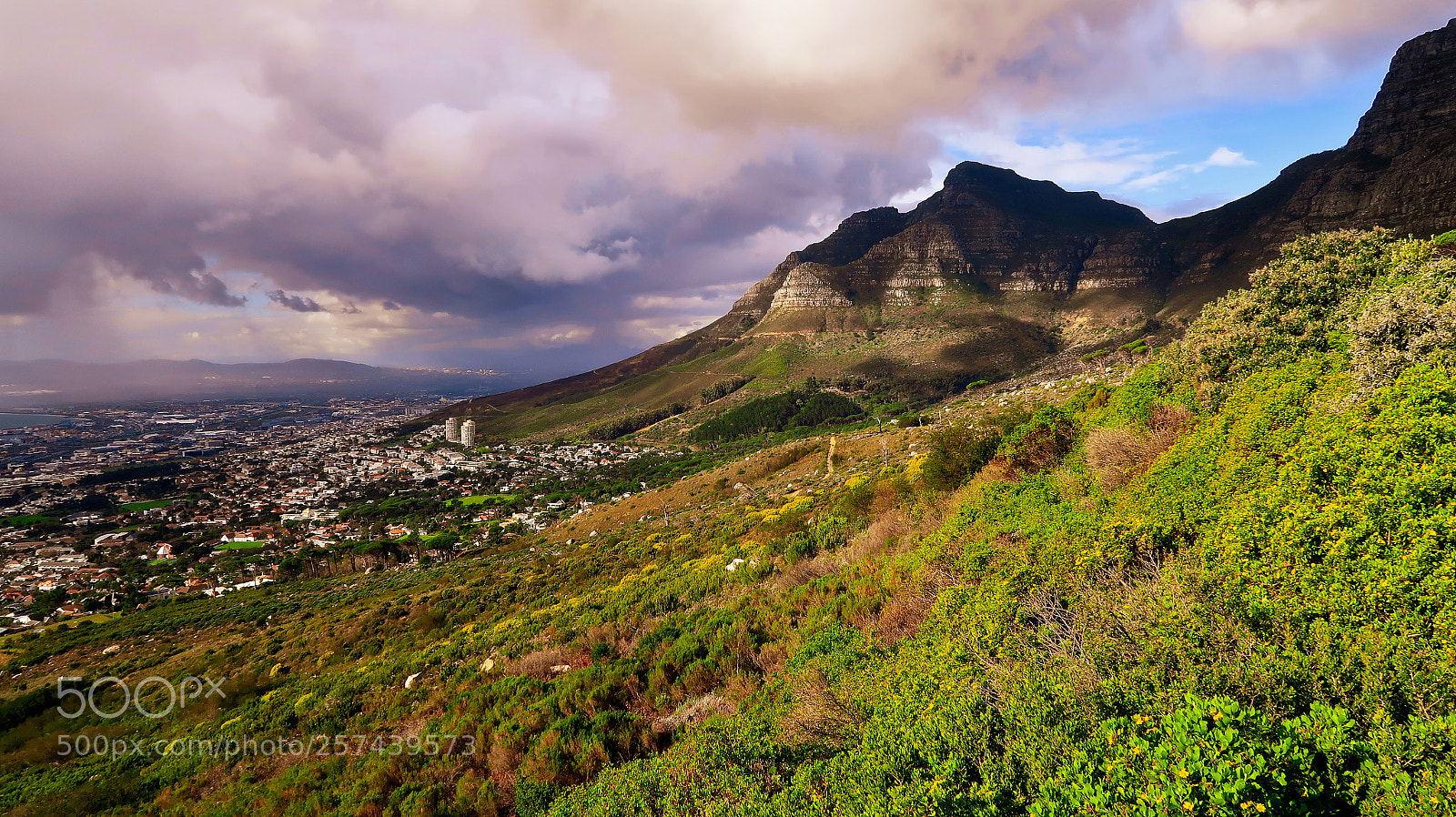 Canon PowerShot G7 X Mark II sample photo. Cape town photography