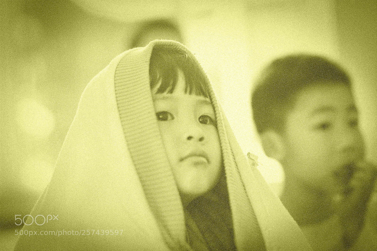 Canon EOS 6D sample photo. Untitled photography