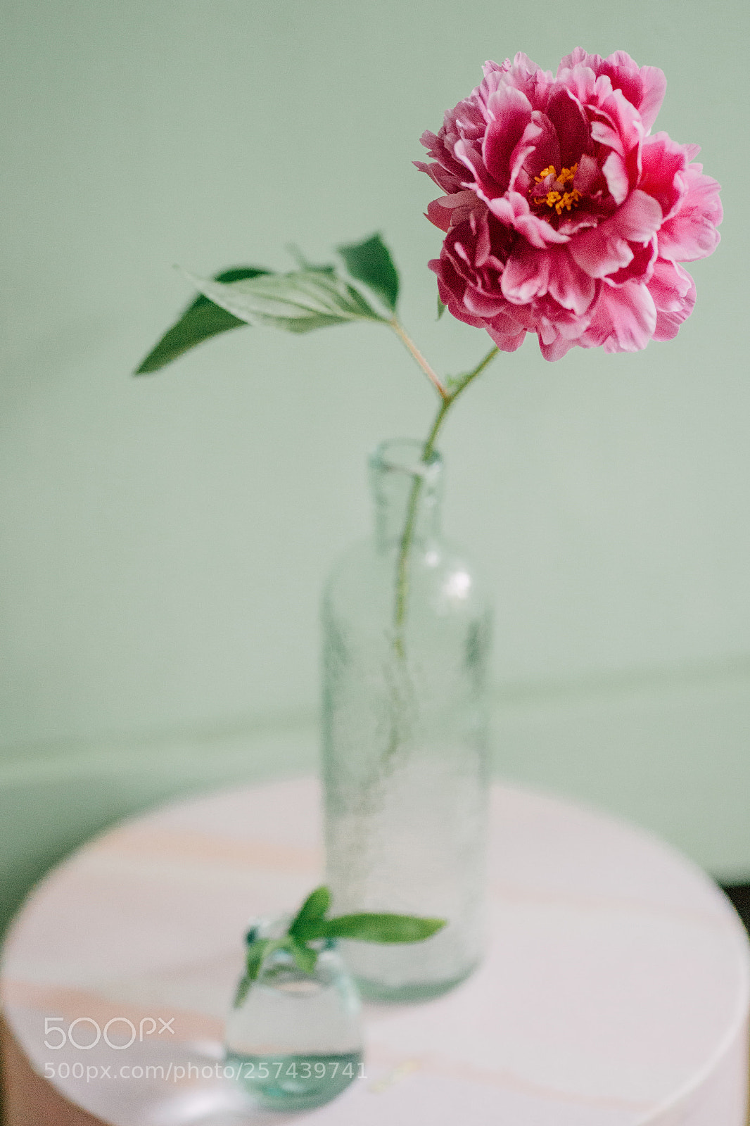 Canon EOS 6D sample photo. Flowers of spring photography